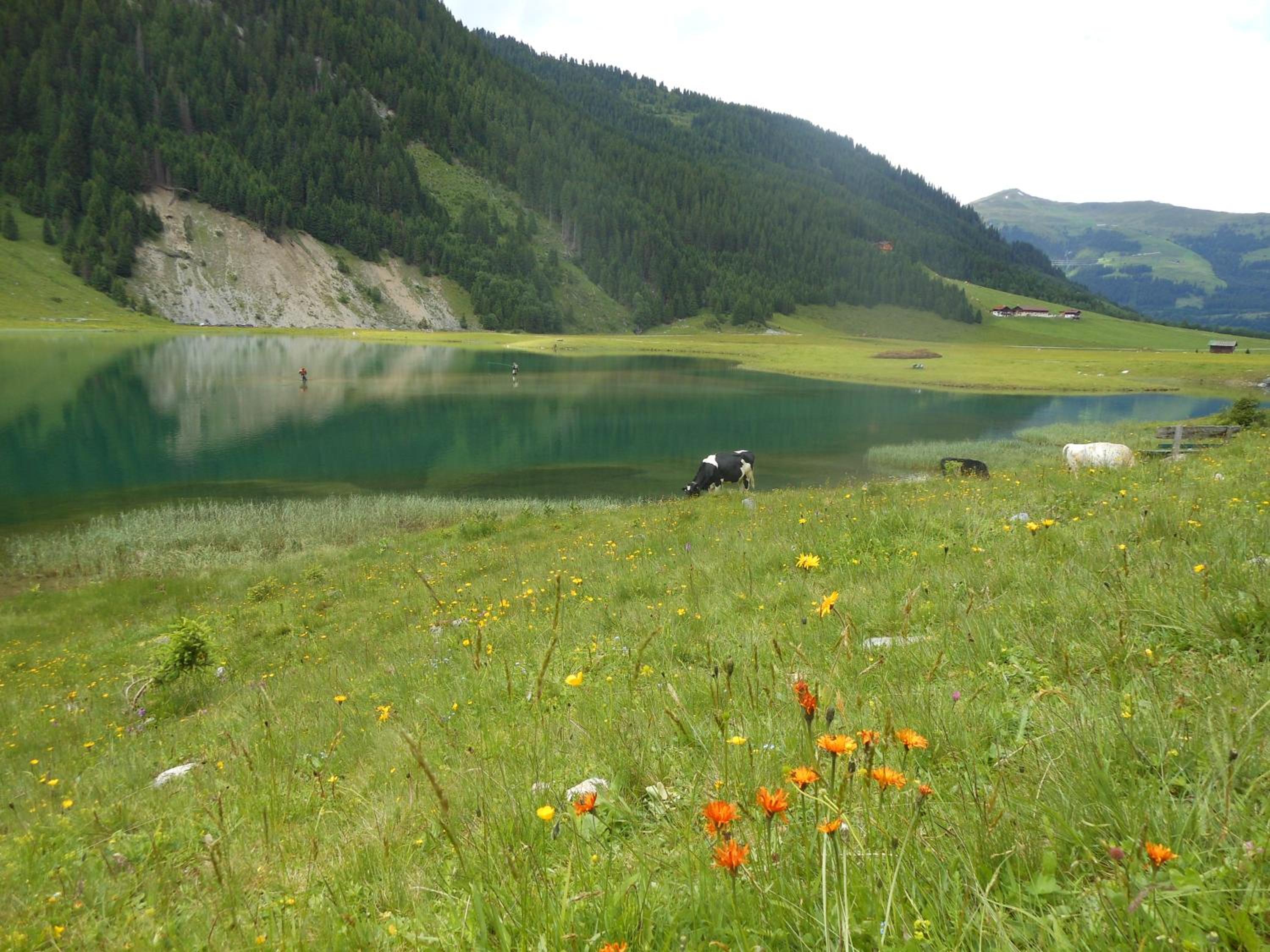 Photo 43
