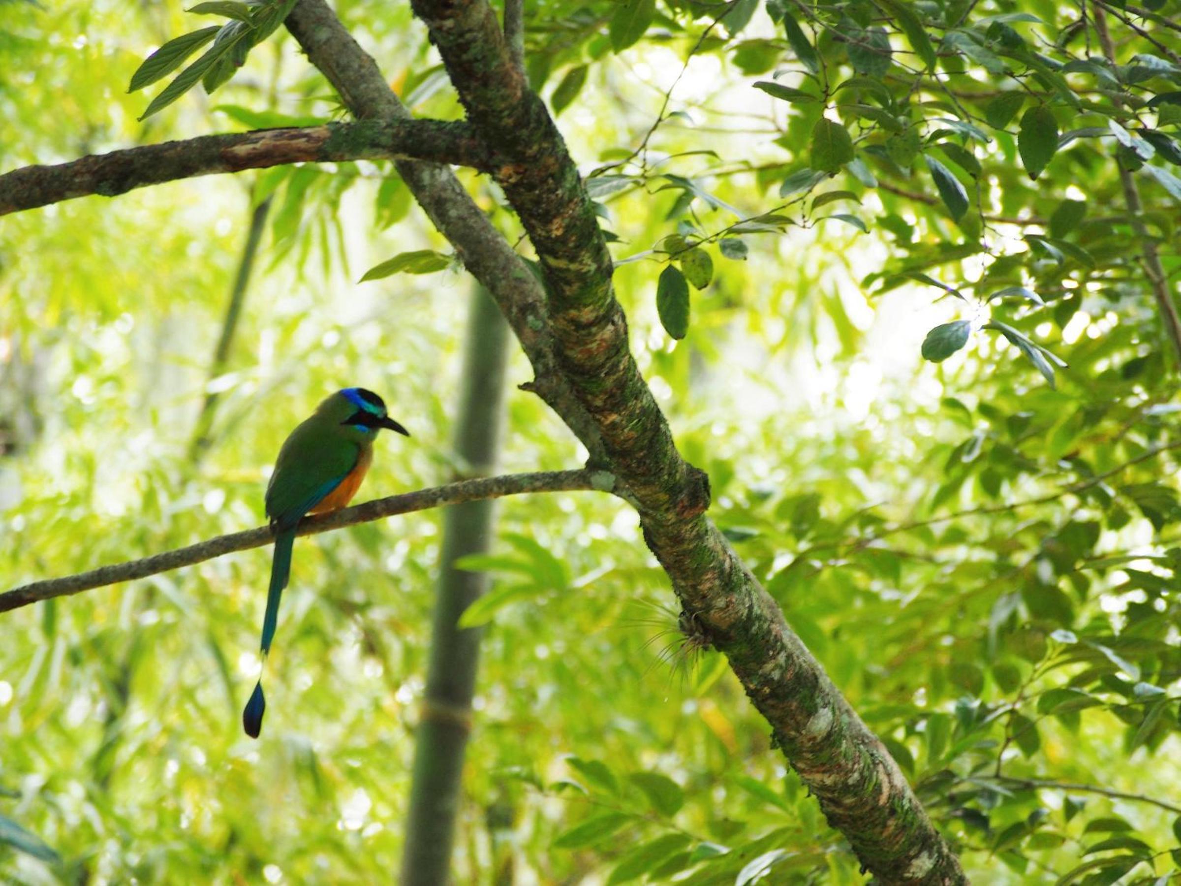 Ecoparque La Cañada