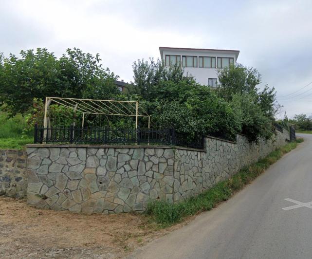 KAMELYa