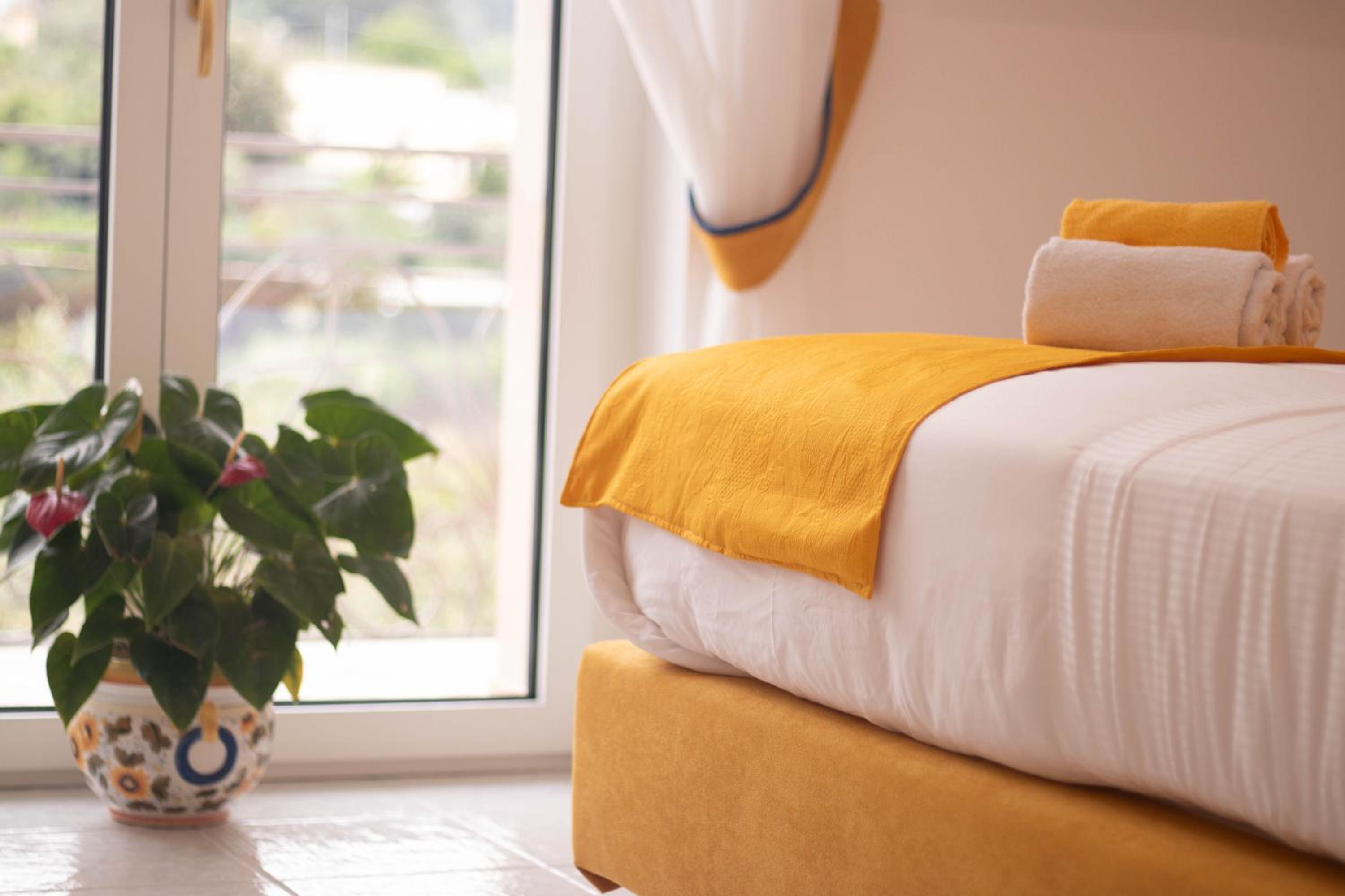 Villa Luci di Capri photo 3