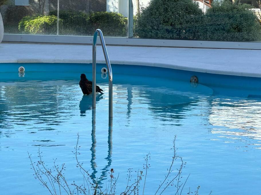 Departamento en centro de Pinamar con servicios y cochera