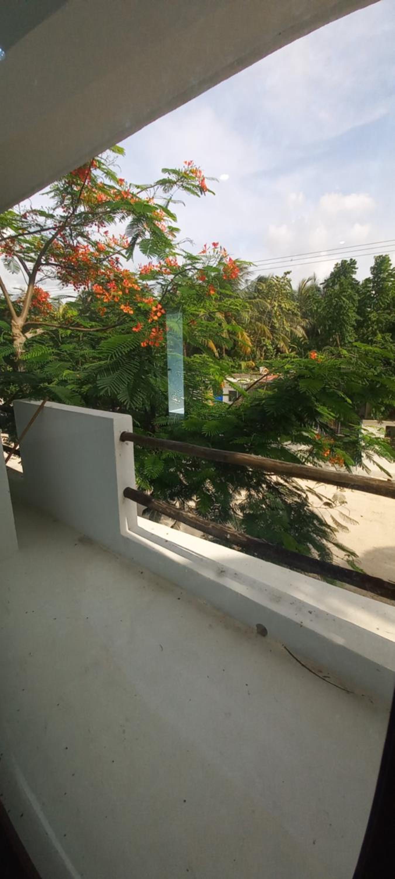 Estudio Flamboyan