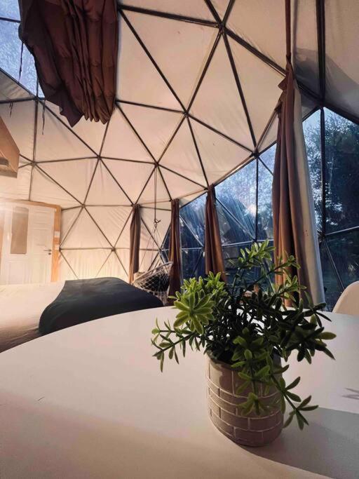 Magia Ecolodges, Glamping Punta Colorada view 2
