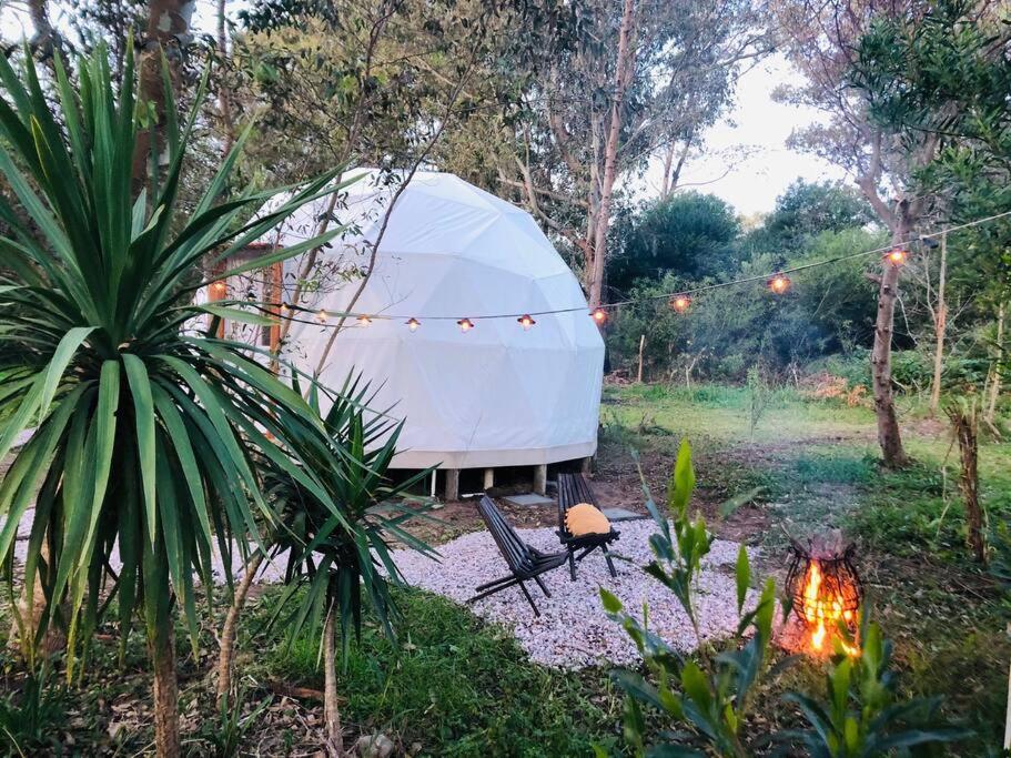 Magia Ecolodges, Glamping Punta Colorada view 4
