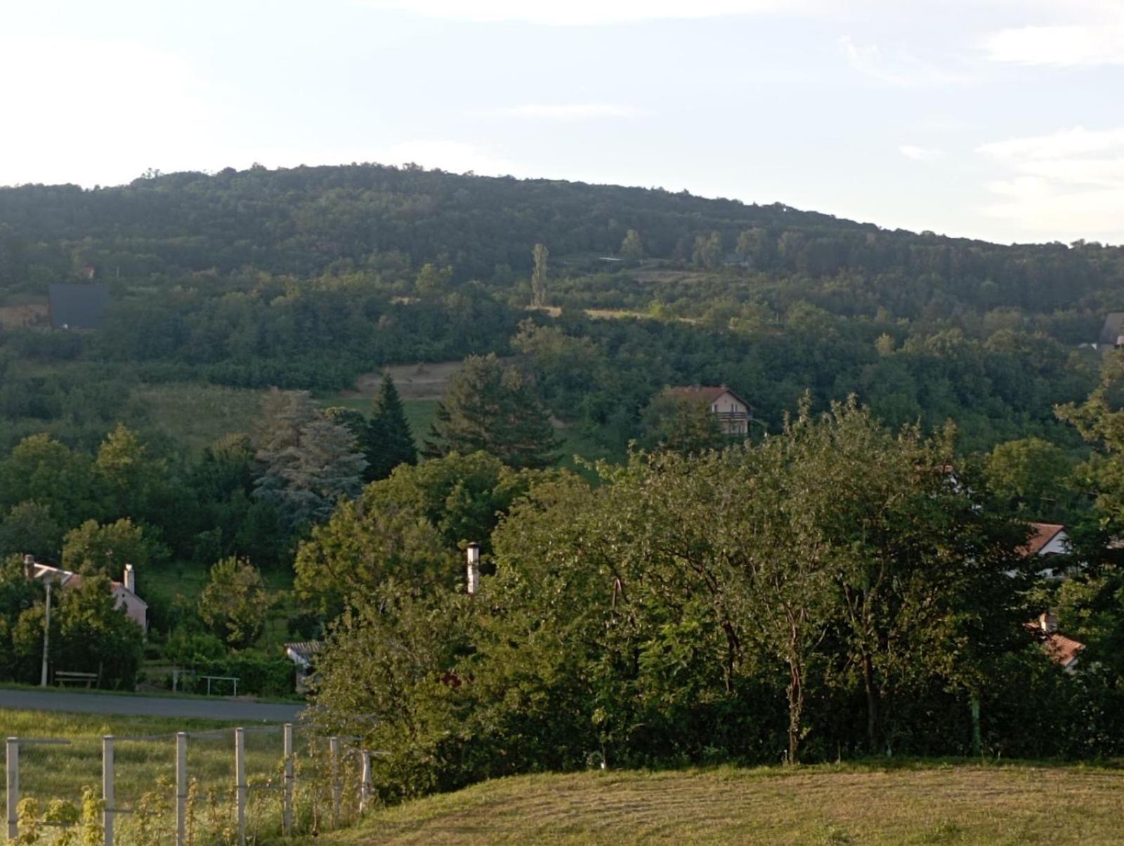 Photo 26