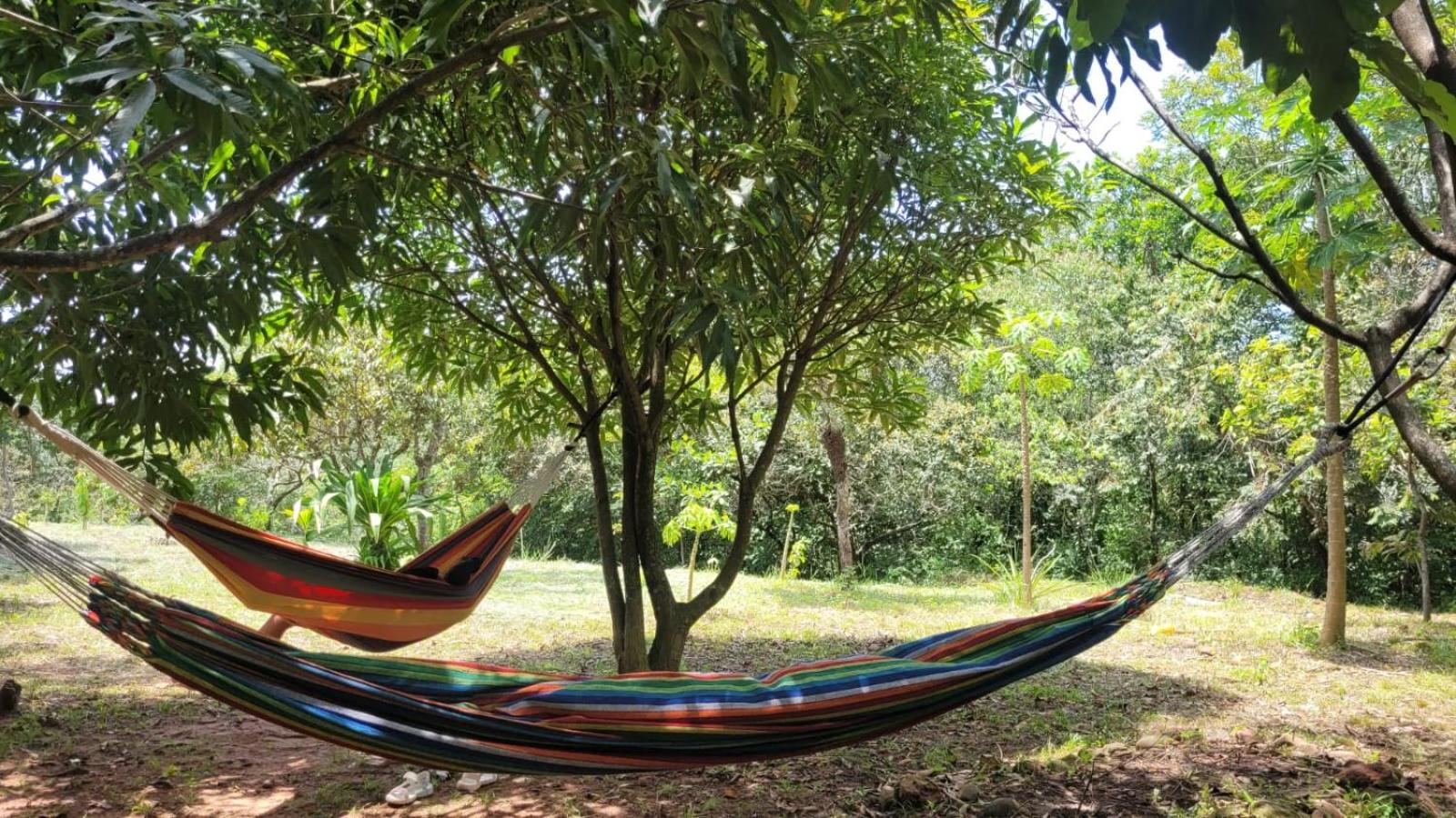 Ecolodge La Corocora