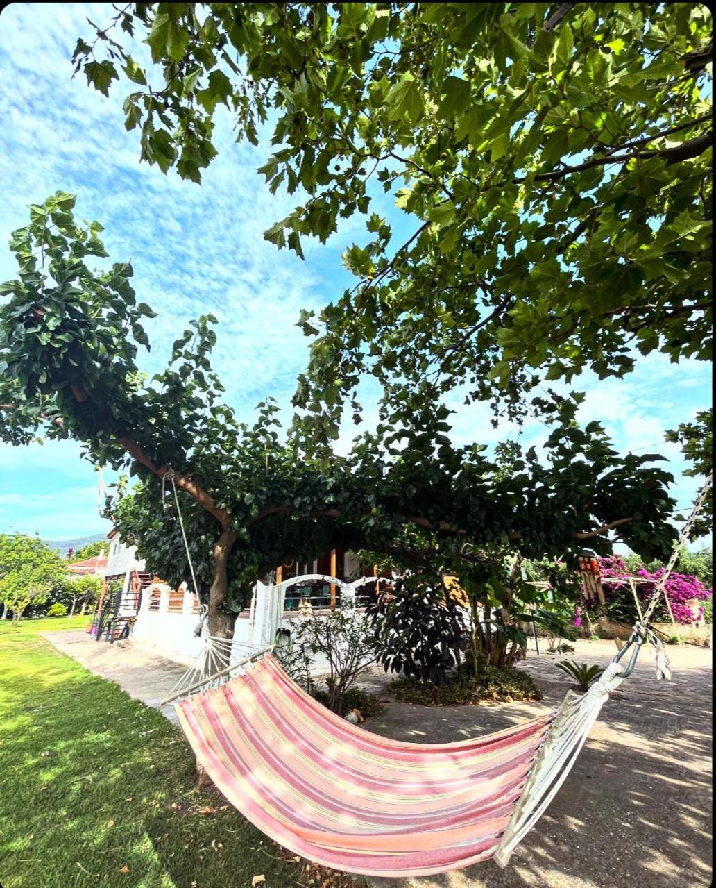 Villa Marlen