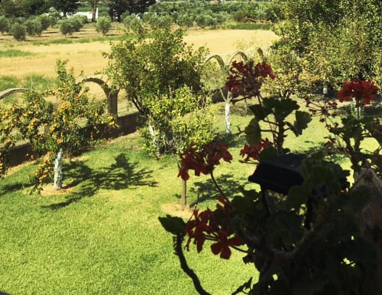 Villa Marlen