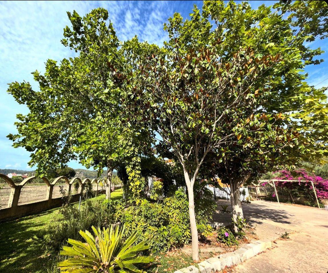 Villa Marlen
