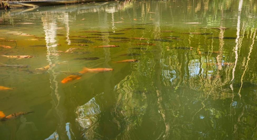 Ecoparque La Cañada