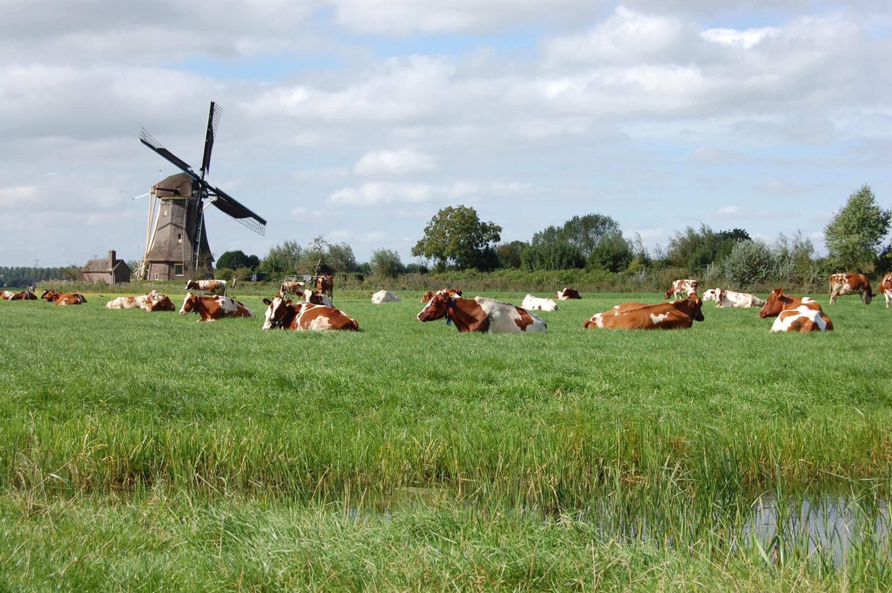 De Willigen Logies