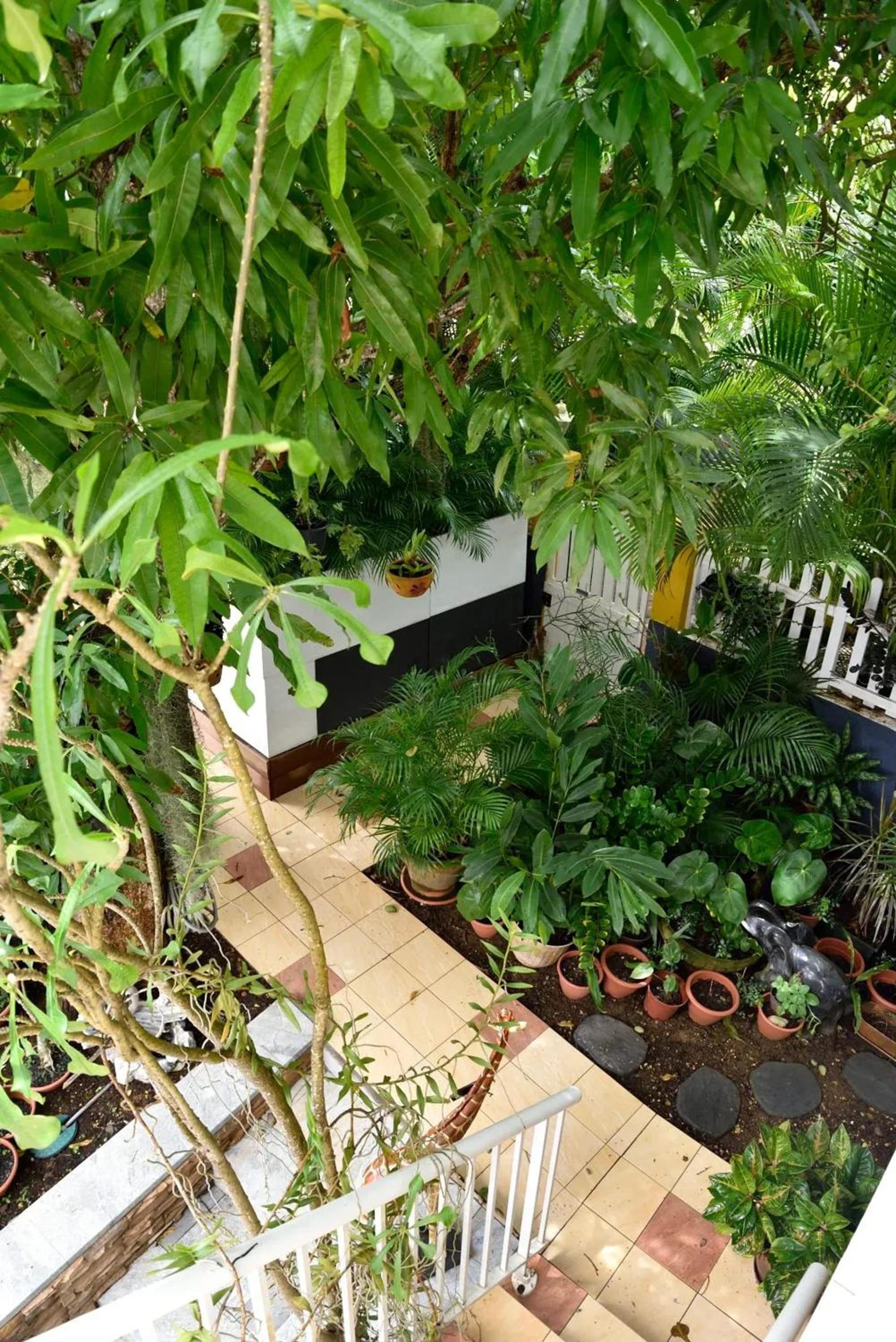 Photo 19