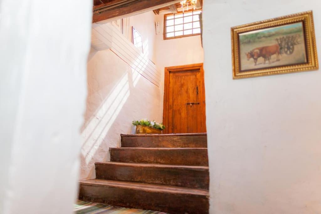 Arzipreste II Casa del Ama