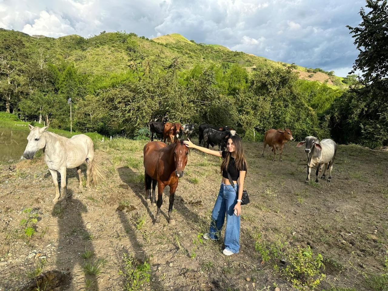 Casa Campestre Buga Parcelación Paraiso de Sonsito