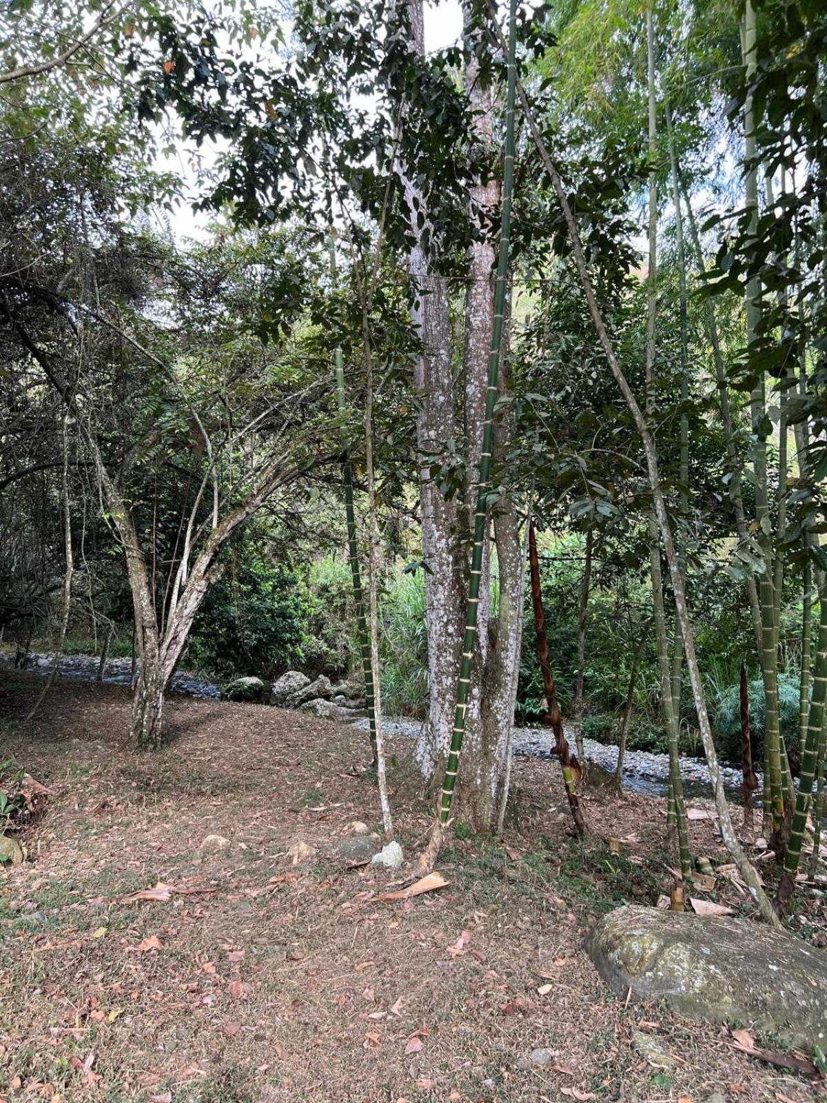 Casa Campestre Buga Parcelación Paraiso de Sonsito