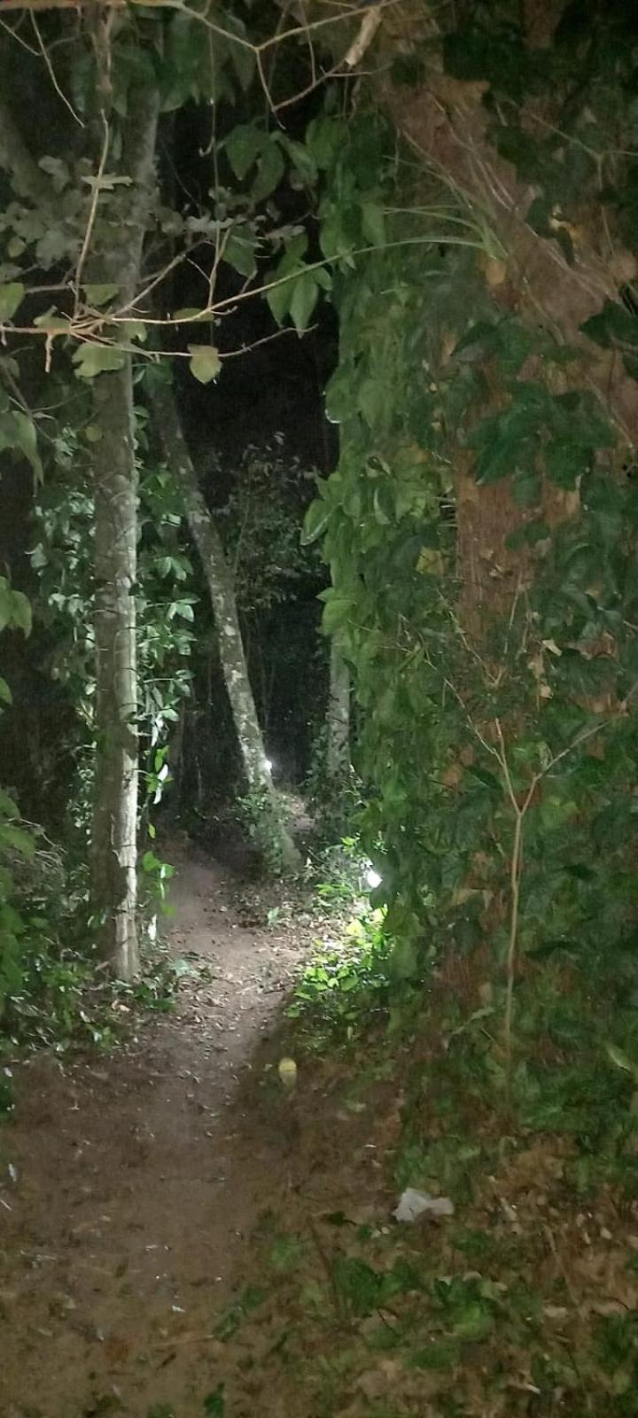 Casa Café - Aconchego na Floresta - Rota do Vinho