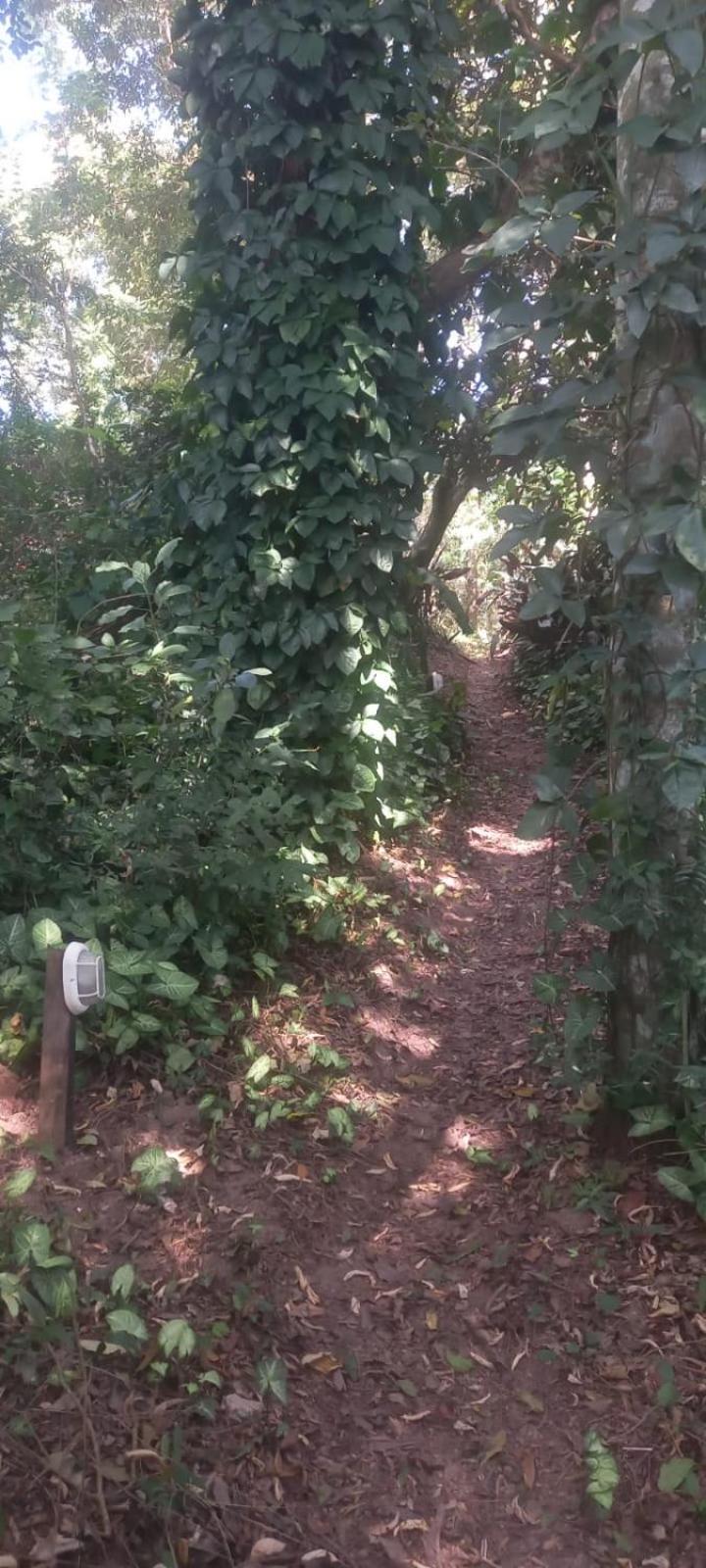 Casa Café - Aconchego na Floresta - Rota do Vinho