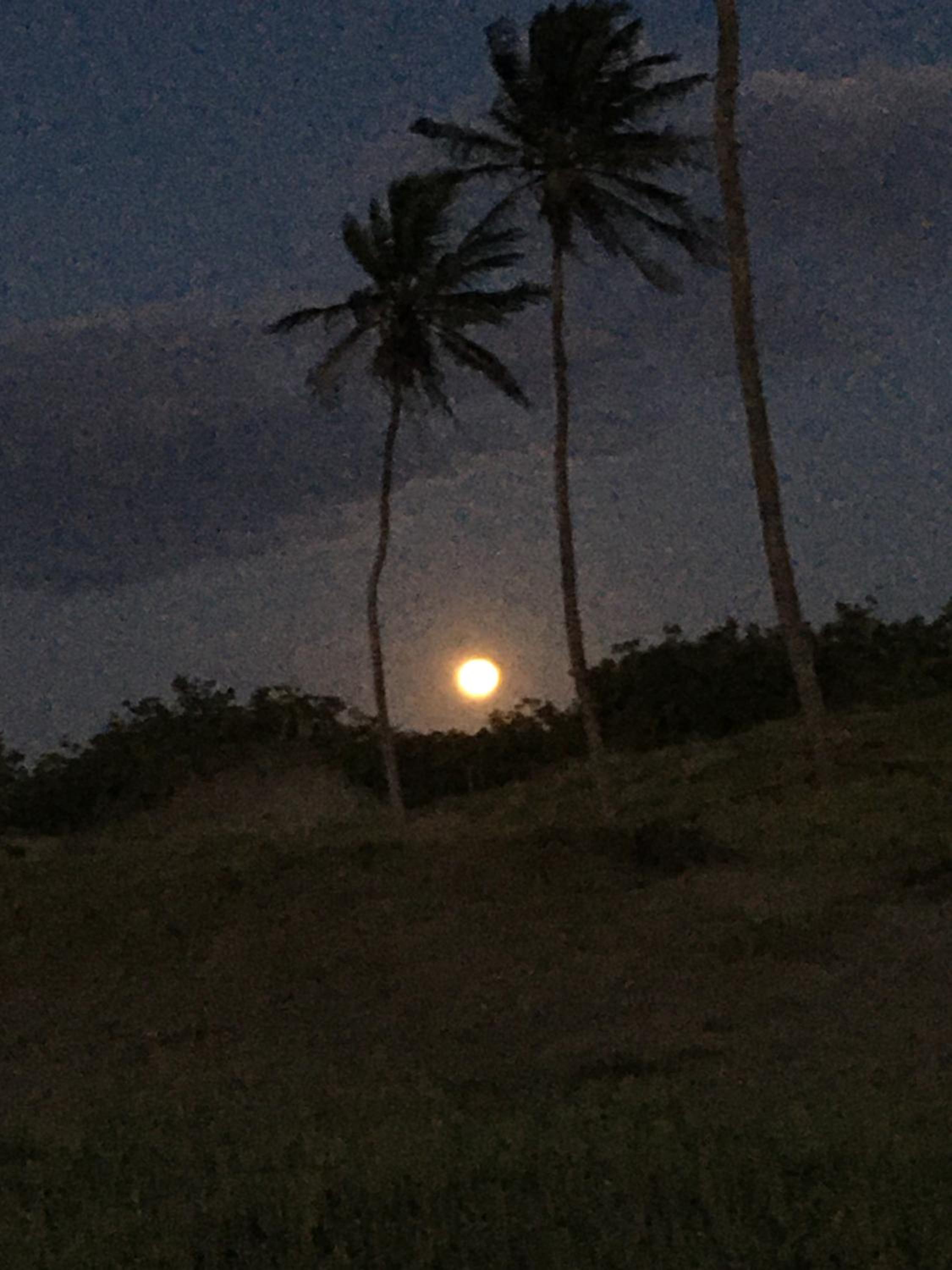 Morada do Vento