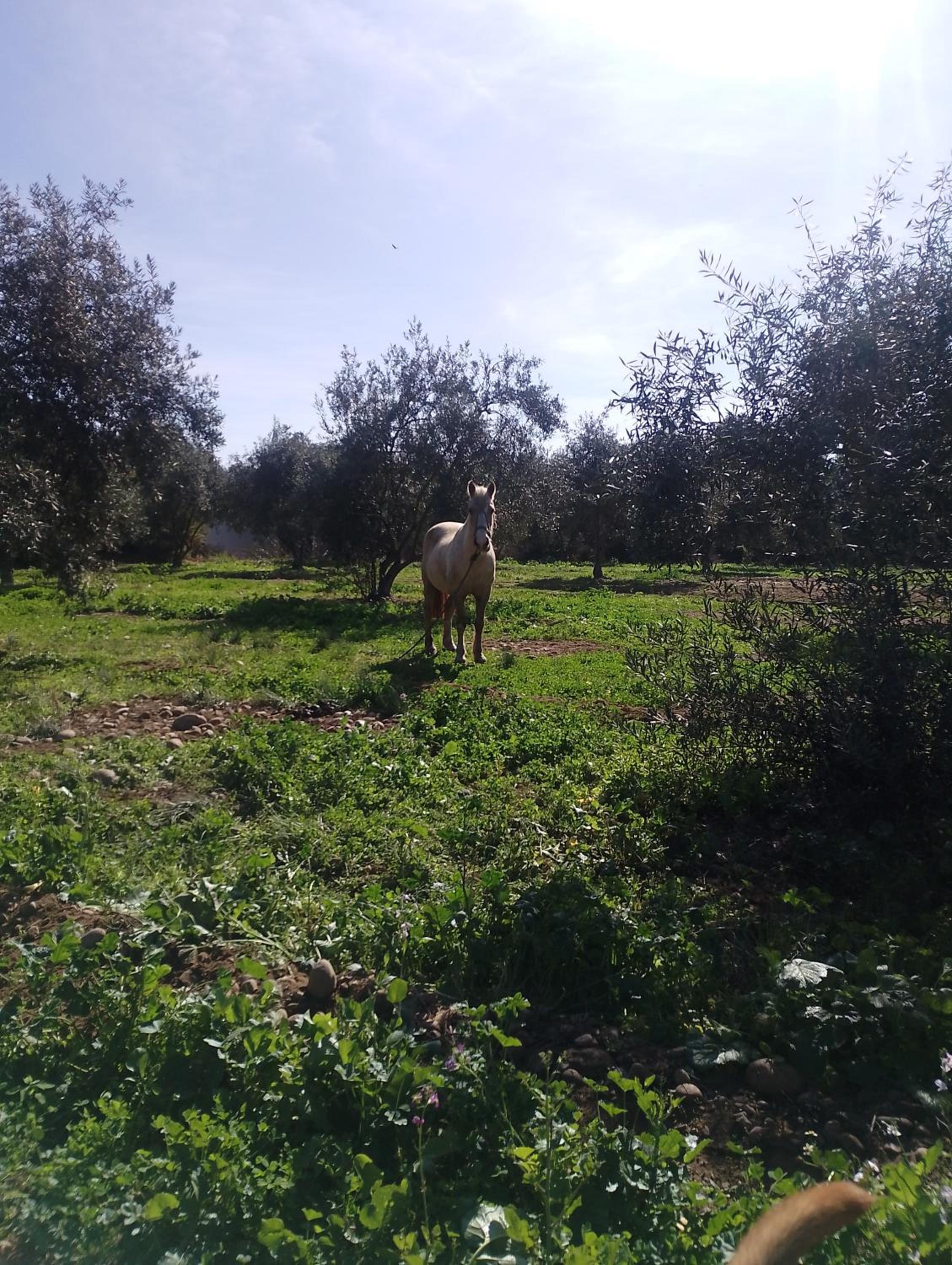 Camping Kilómetro 44