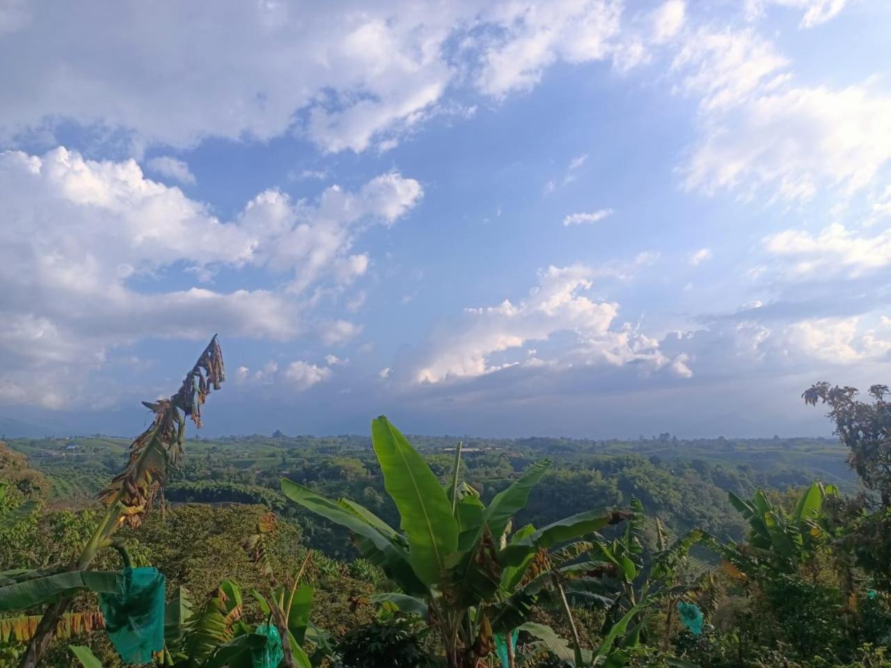 Cabañas la Miranda