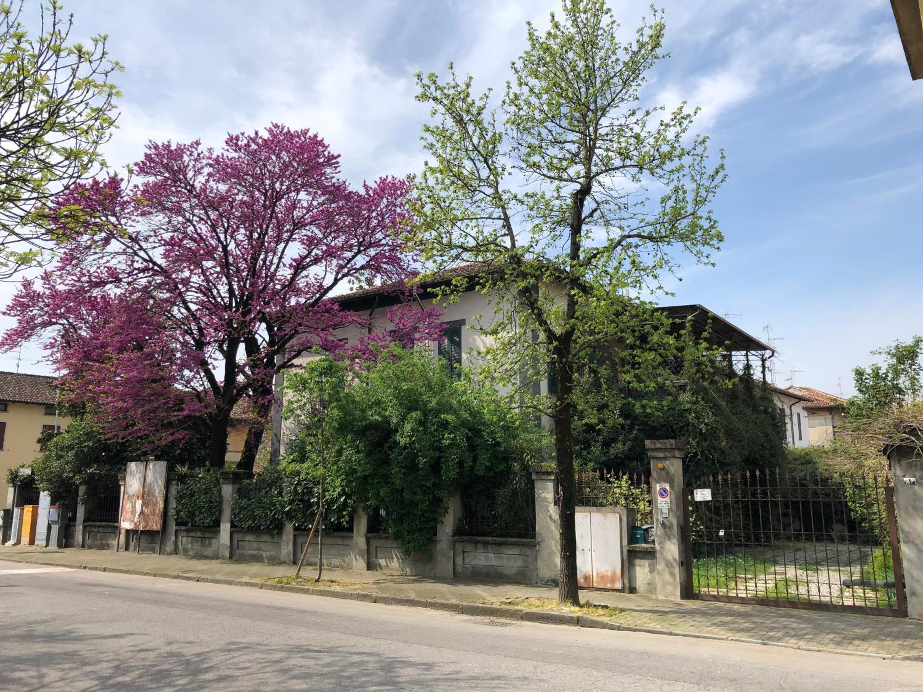 Appartamento Il Gelsomino view 4