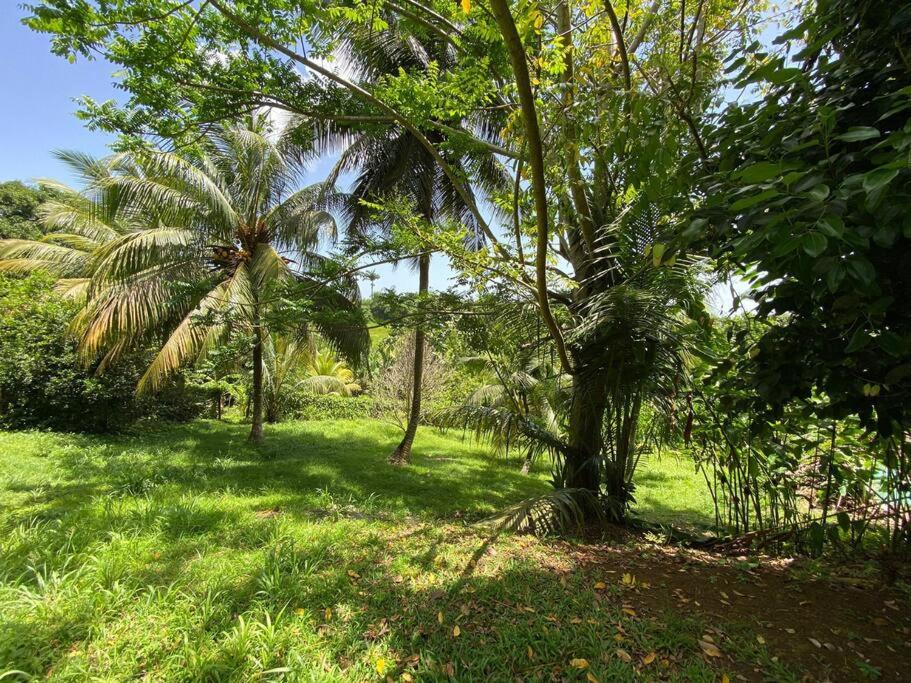 Appartement paisible avec jardin