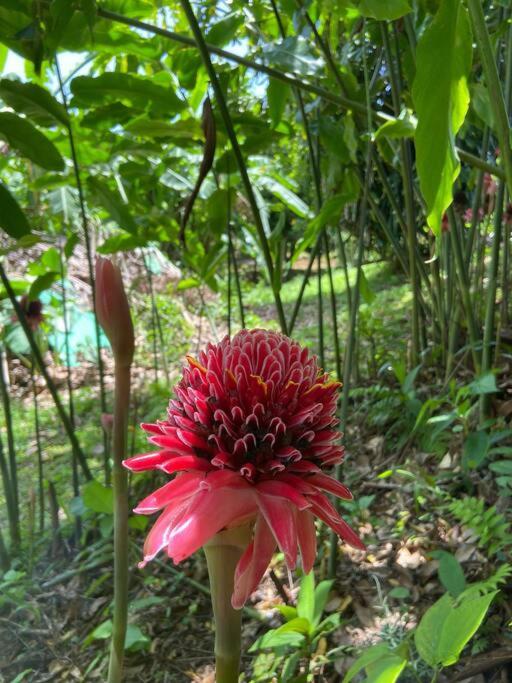 Appartement paisible avec jardin