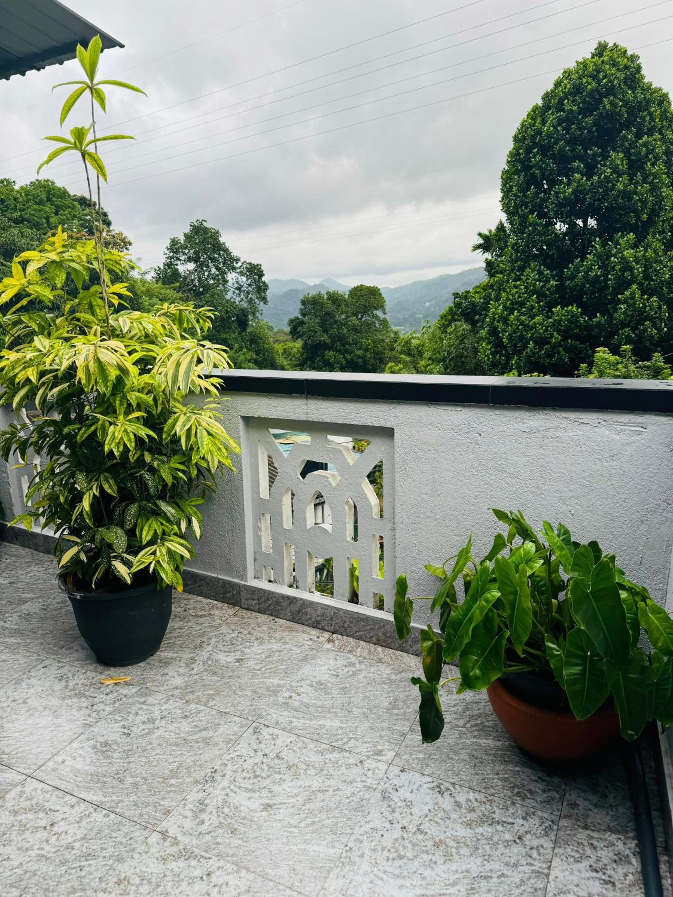 La Isla Homestay view 2
