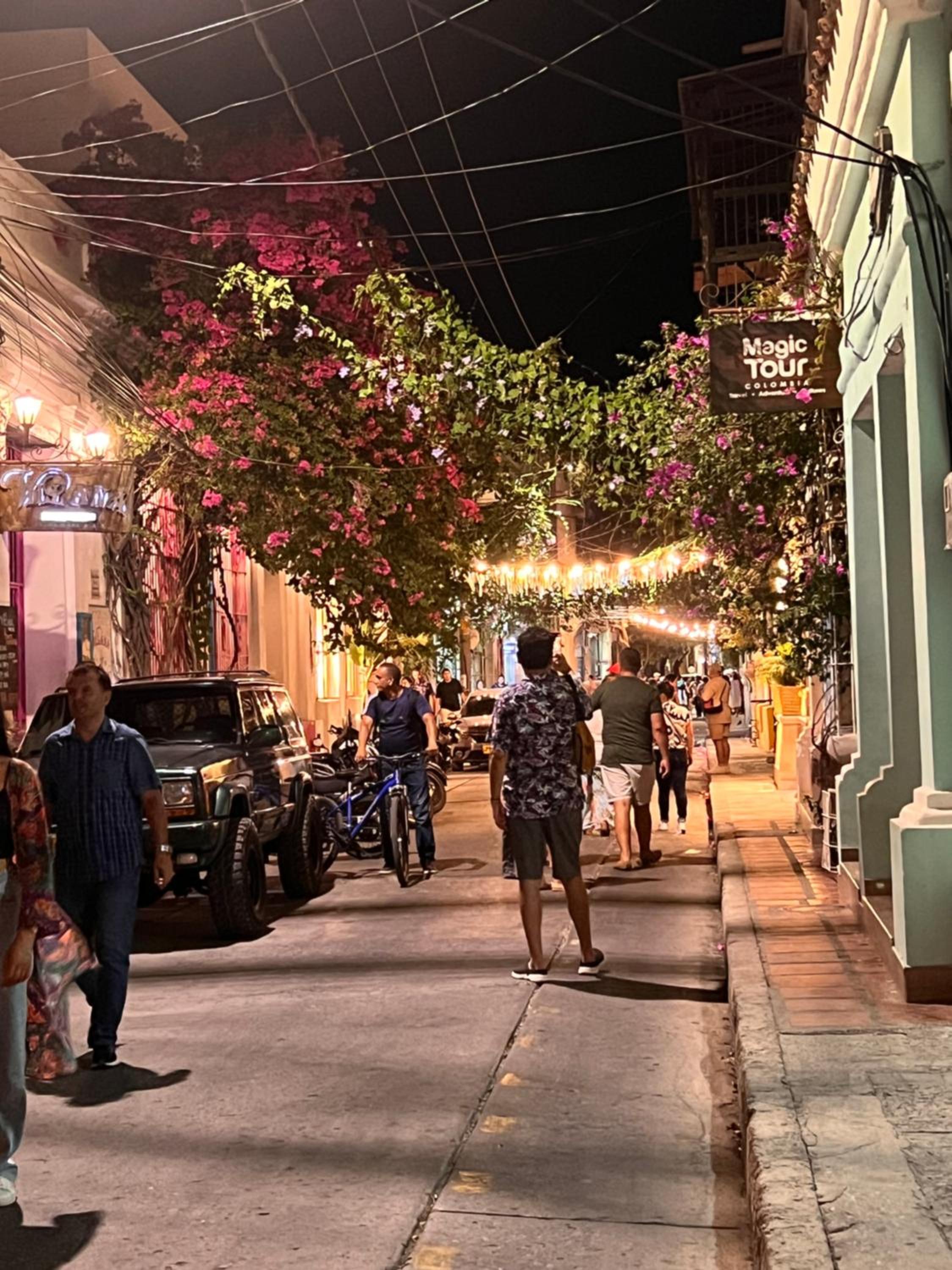 Ámbar roca Santa Marta