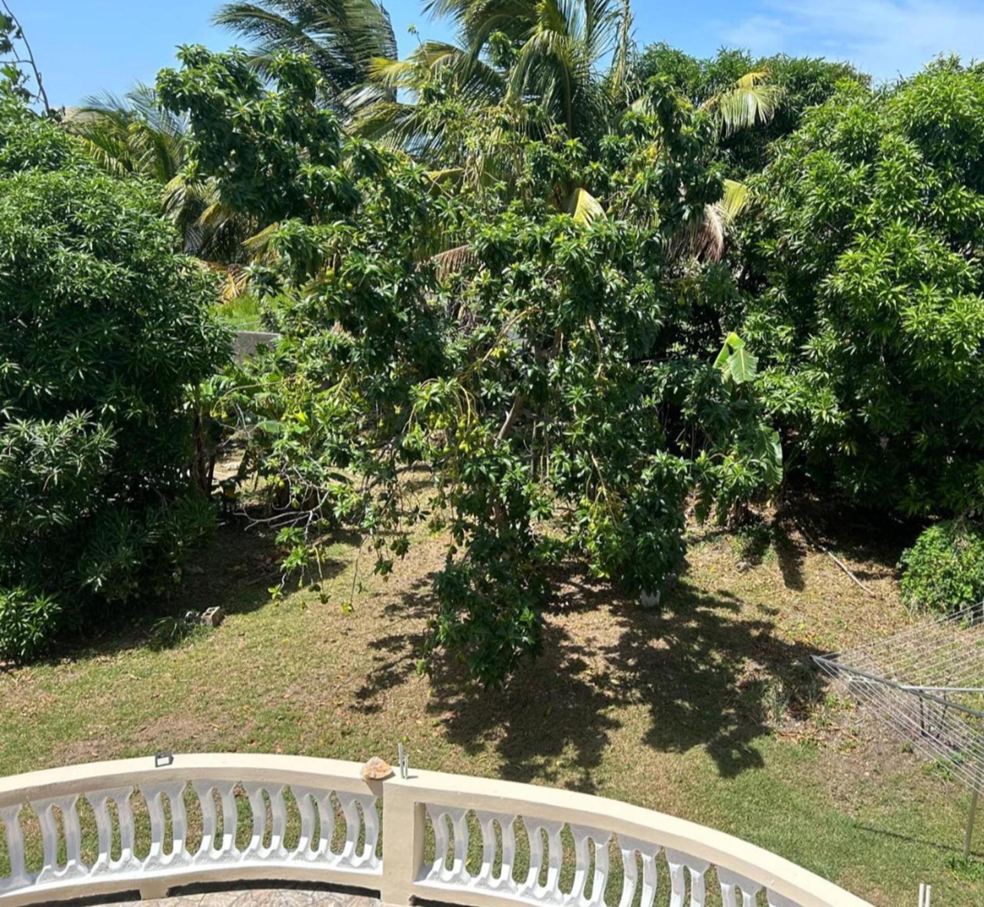 Modern 3 Bed Sea View Retreat St Ann's Ocho Rios
