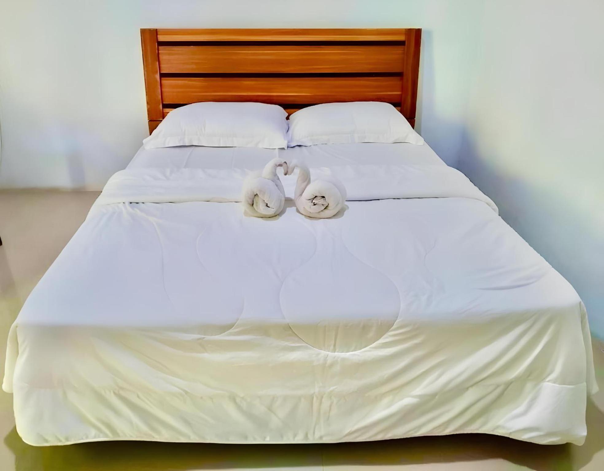 Tarsius Homestay Tangkoko view 5