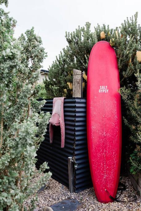 Seafarers Lodge, your seaside surf haven, pup friendly