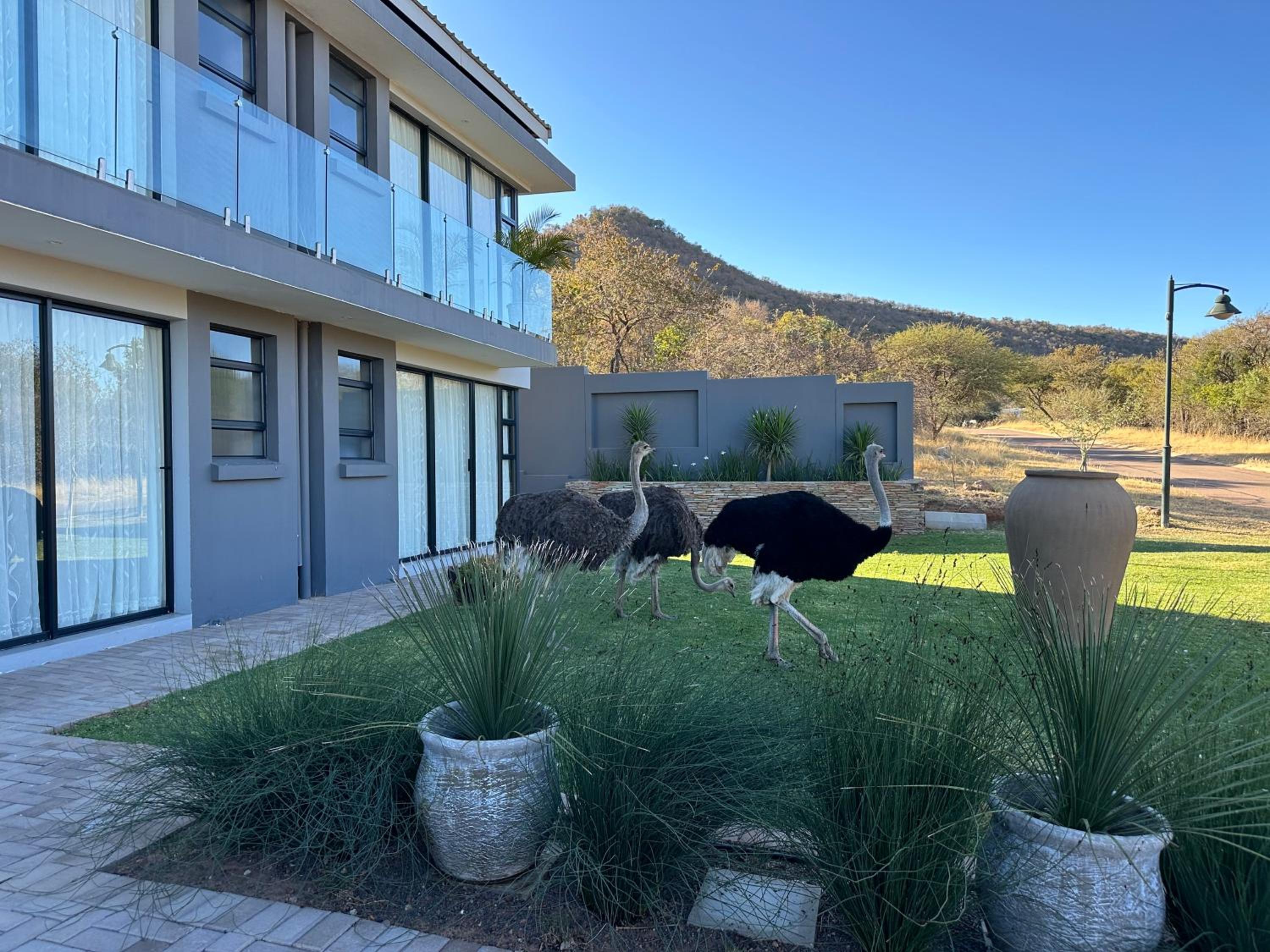 VENNIC VILLA 135 Euphoria view 2
