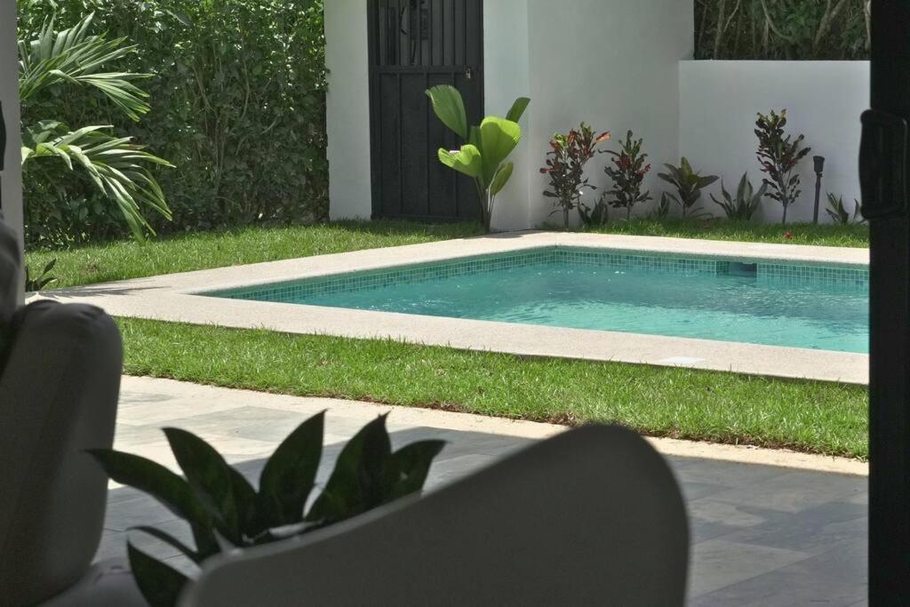 Casa Libélula