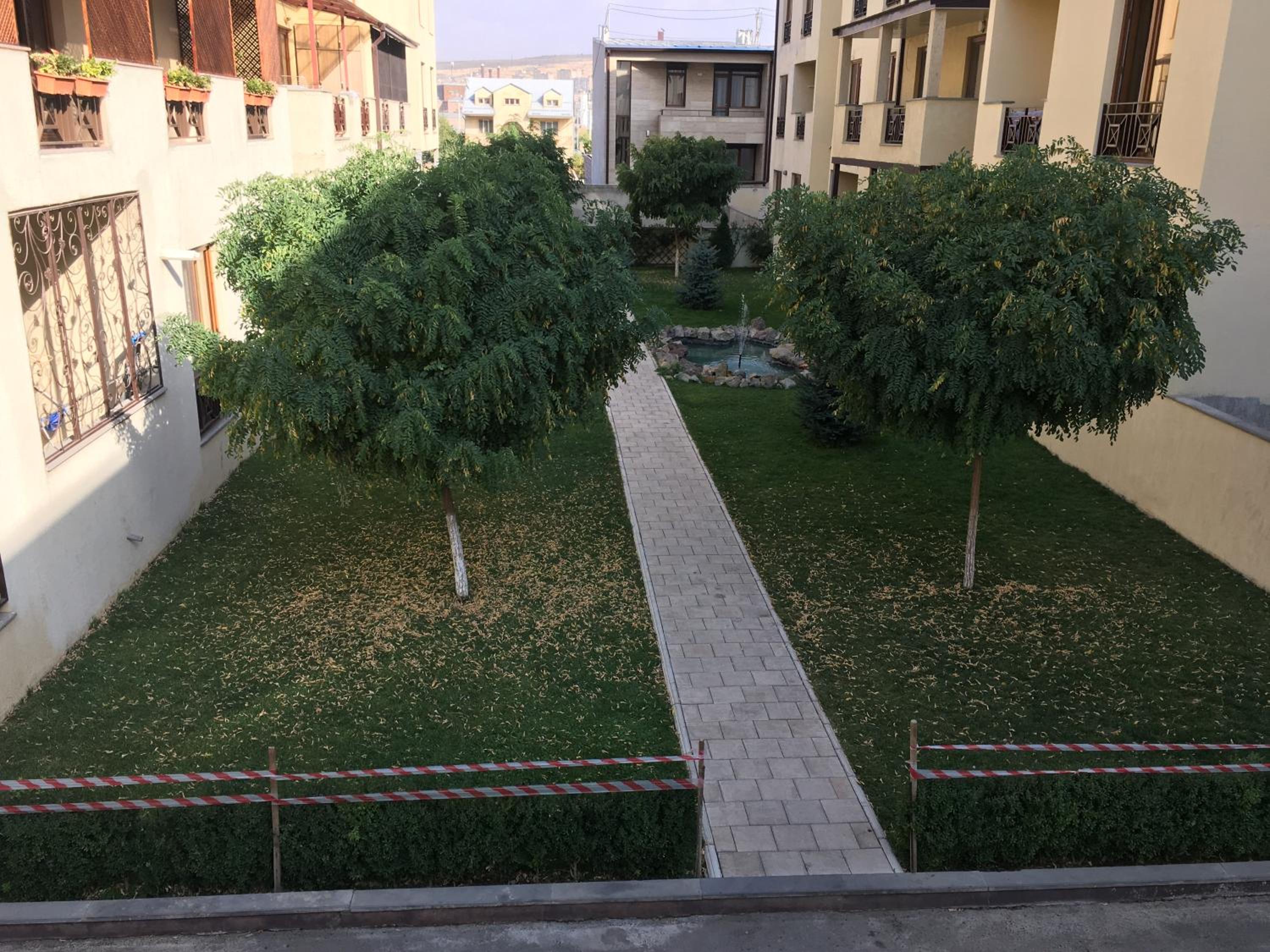 Private Comfortable Appartment