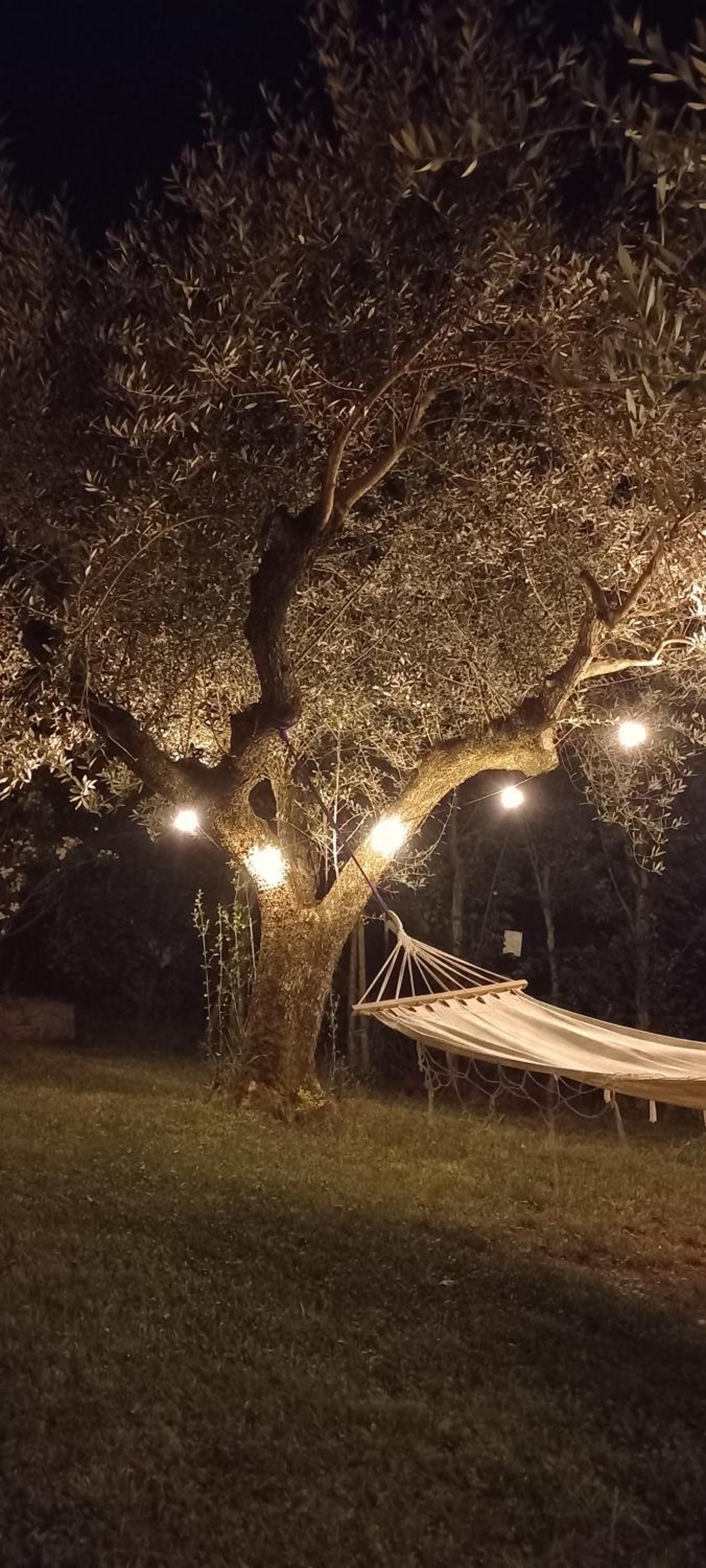 Domus Antiqua Bed & Breakfast view 2