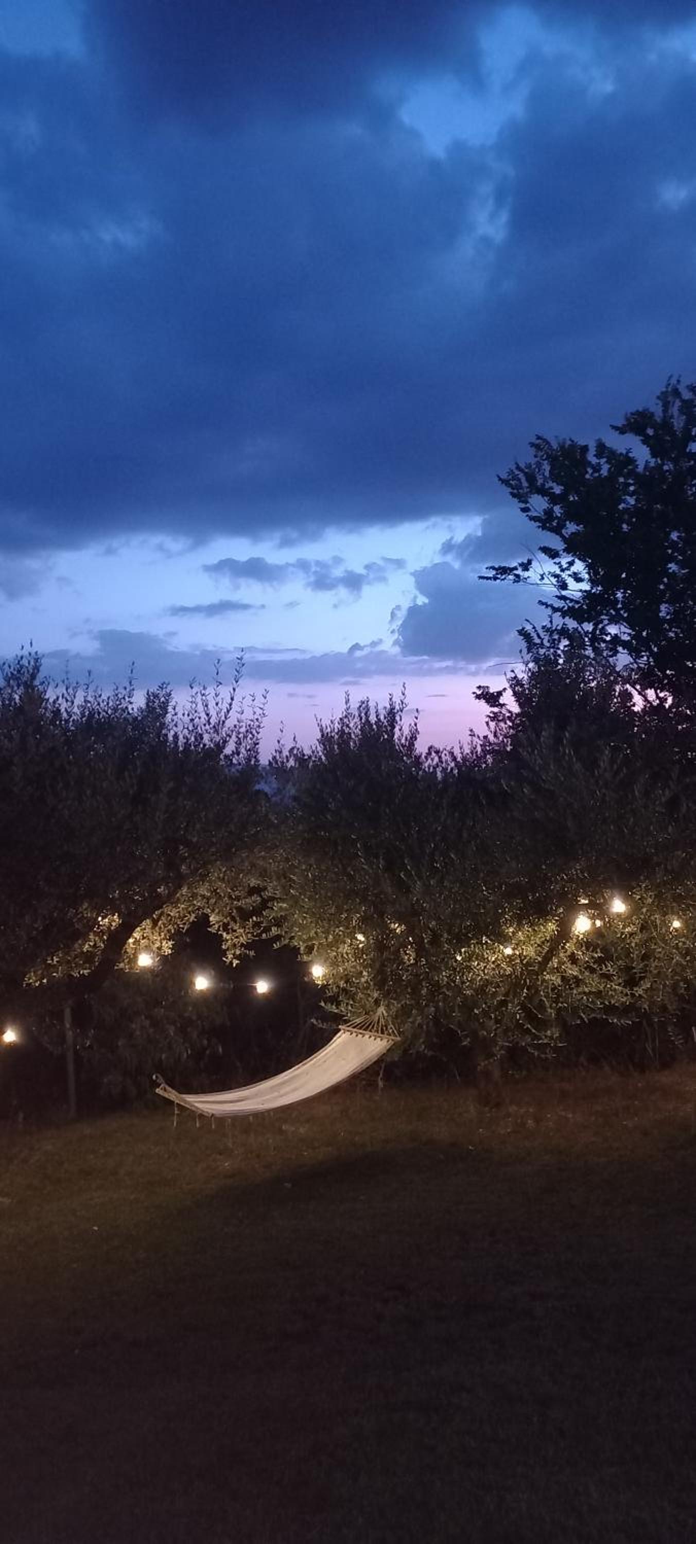 Domus Antiqua Bed & Breakfast view 3
