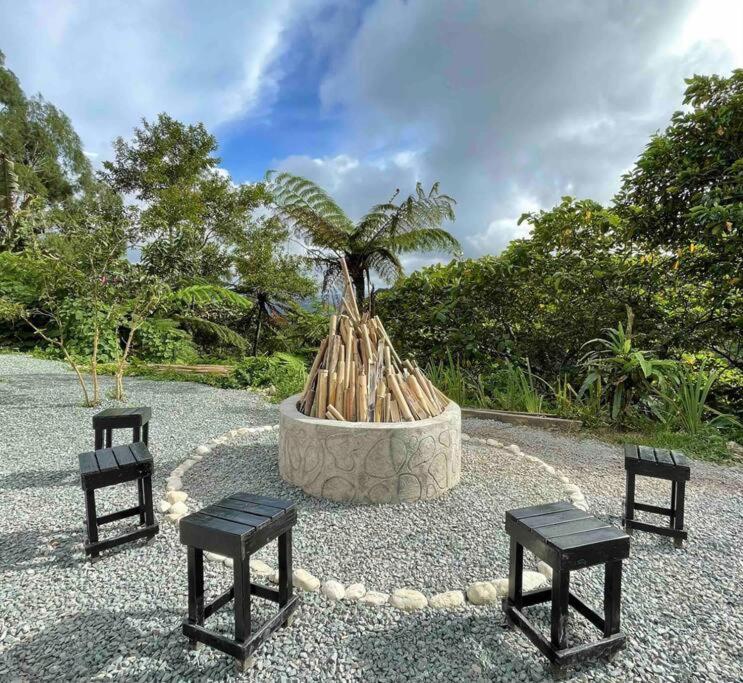 Casa Natur - Your house of Nature view 5