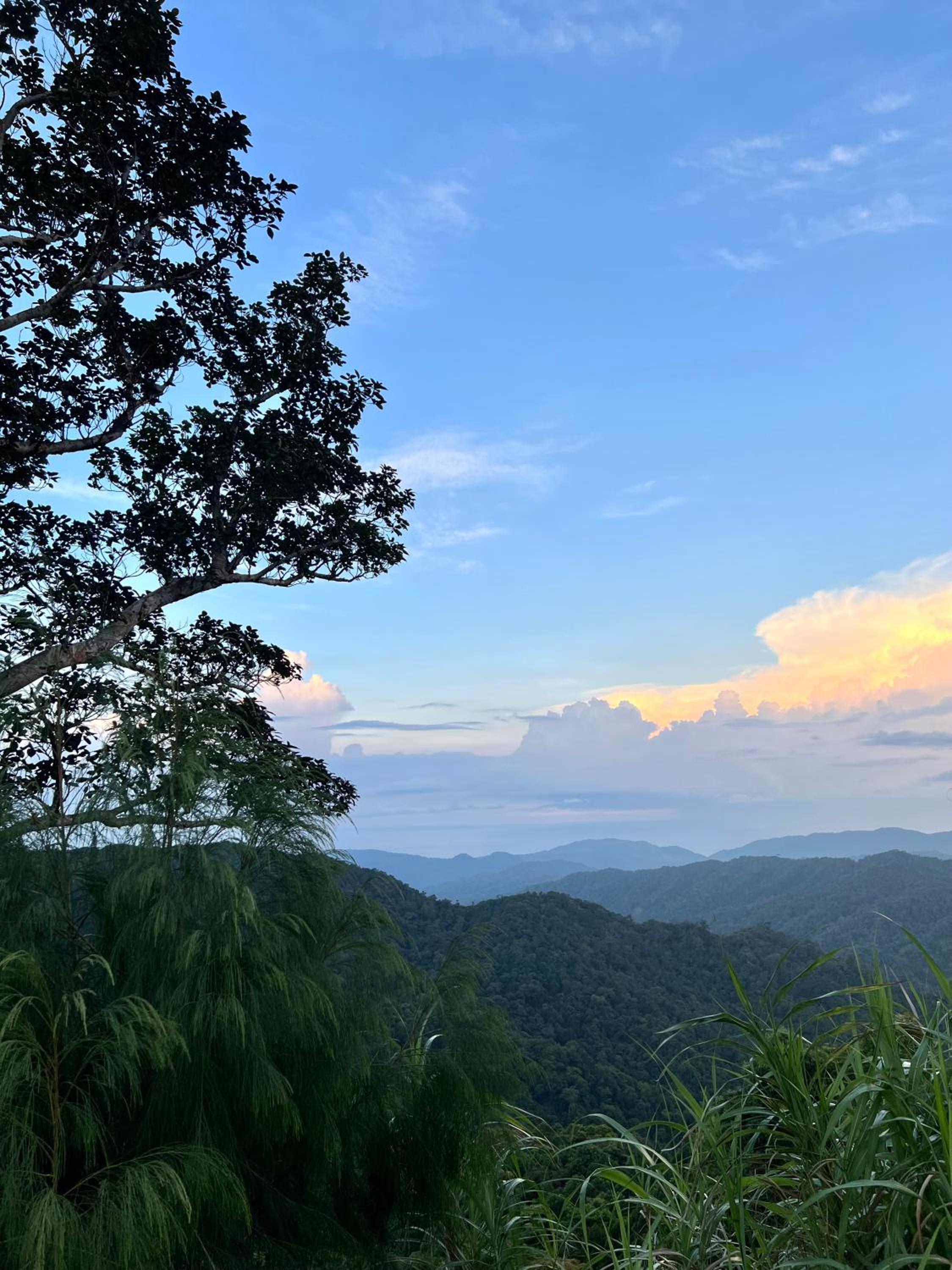Ocean and Mountain Breeze Camp Resort view 5