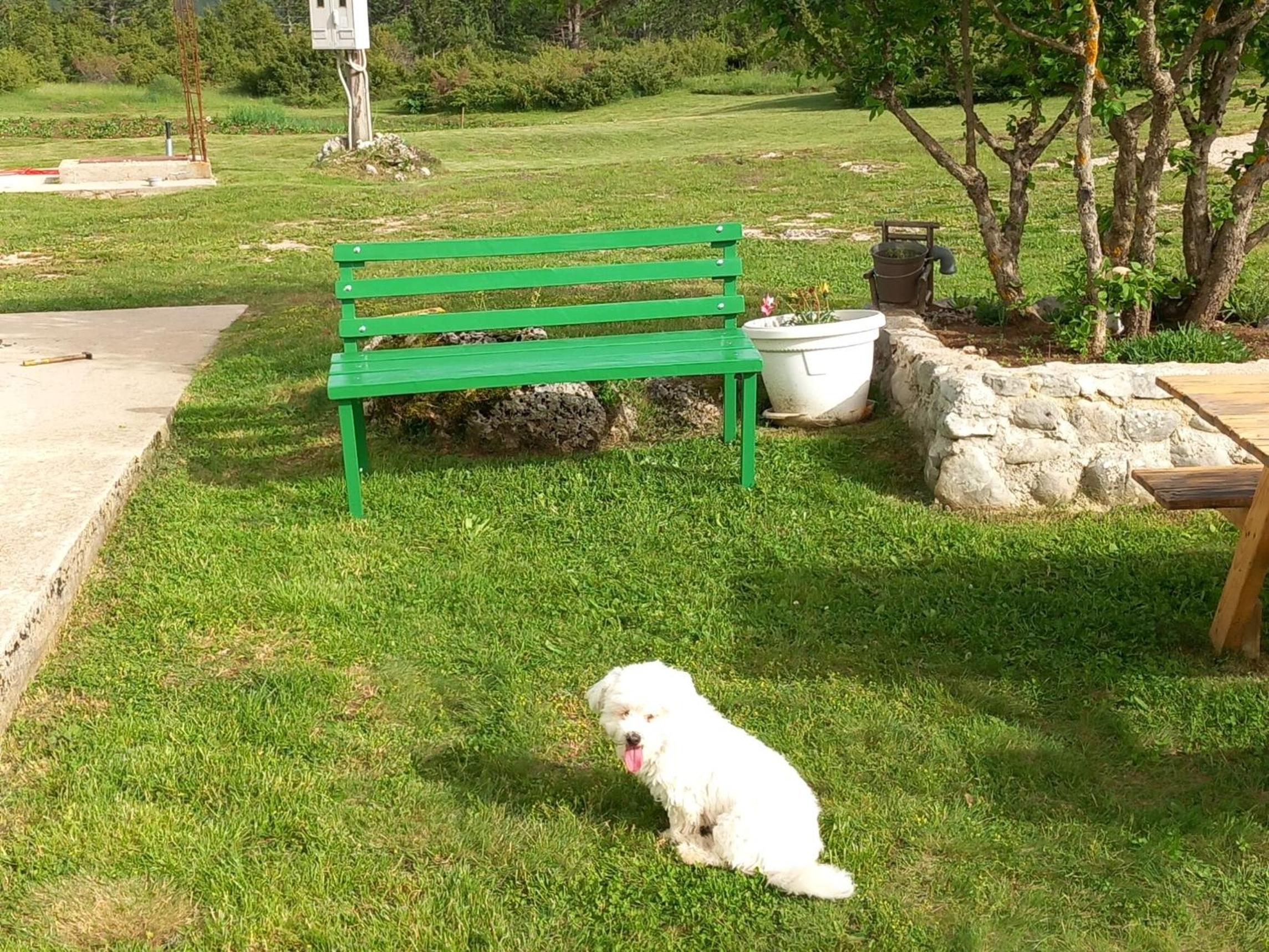 Green cottage