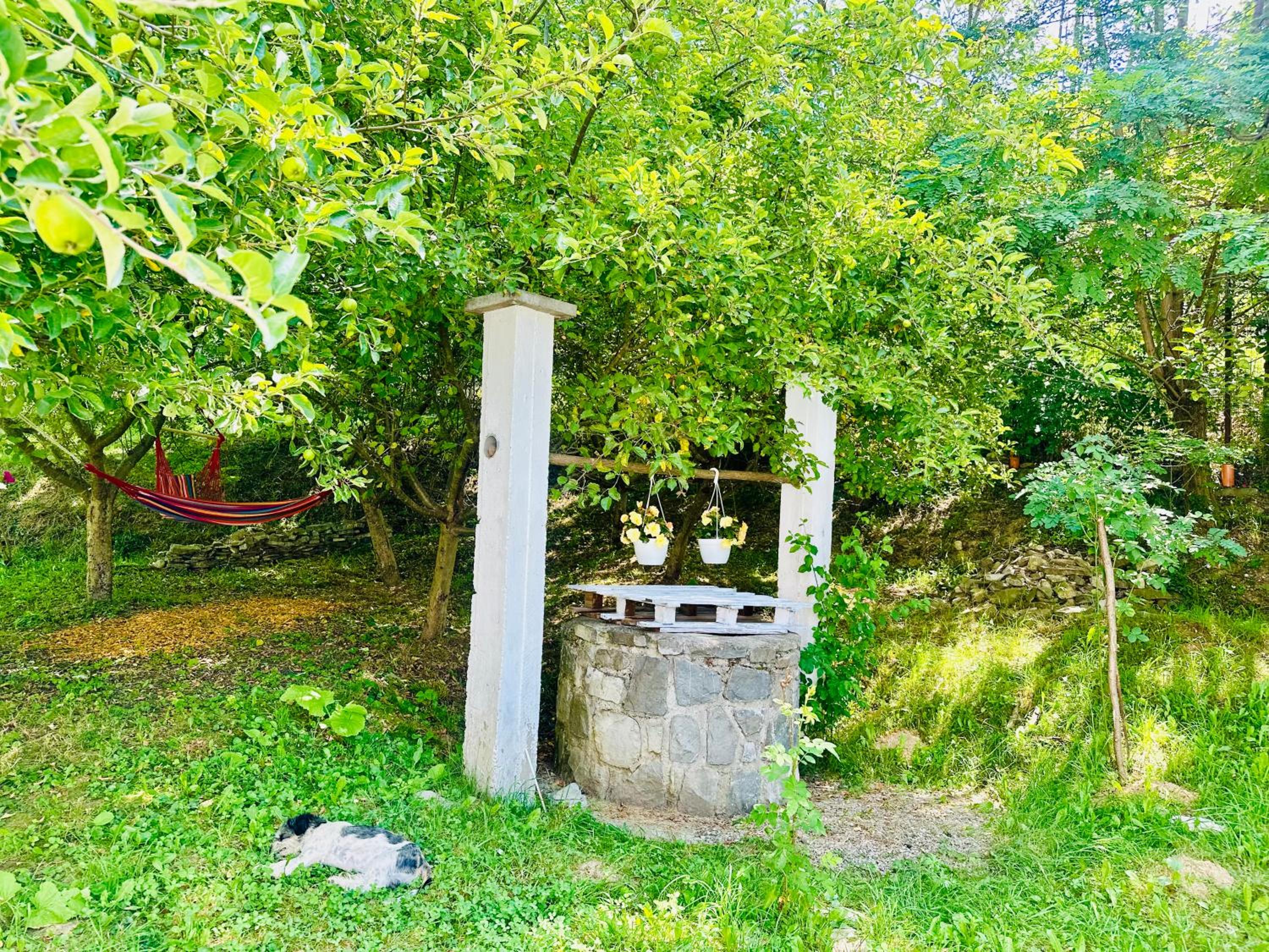 Cântec de Stele