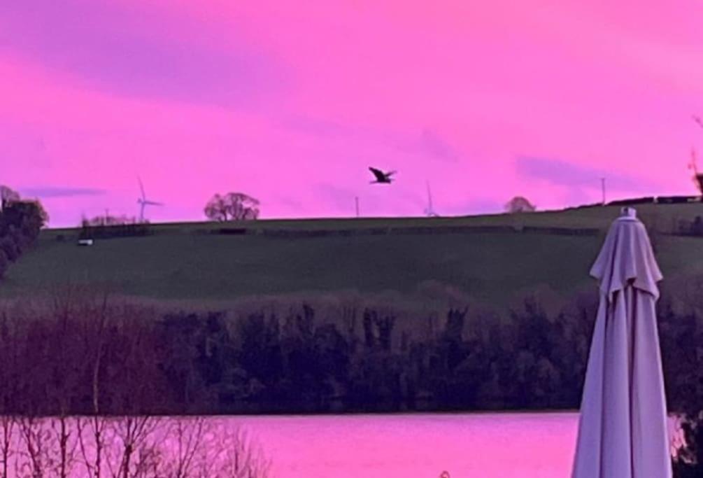 All three cottages at Lough Sillan House - adults only - dog-friendly