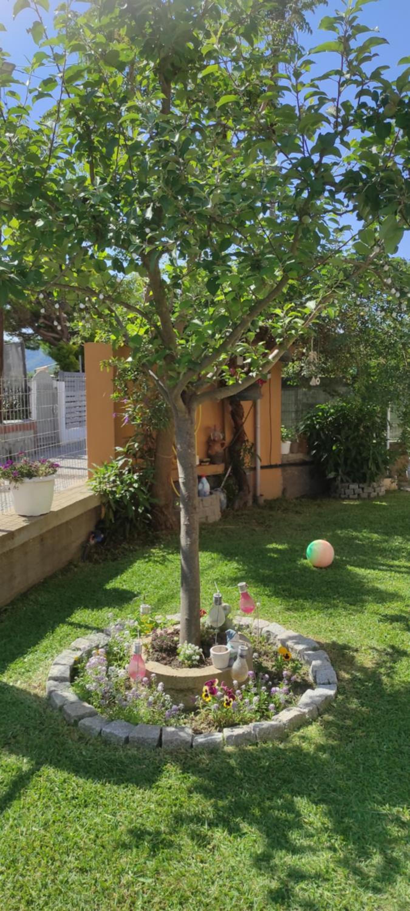 House Kallisti