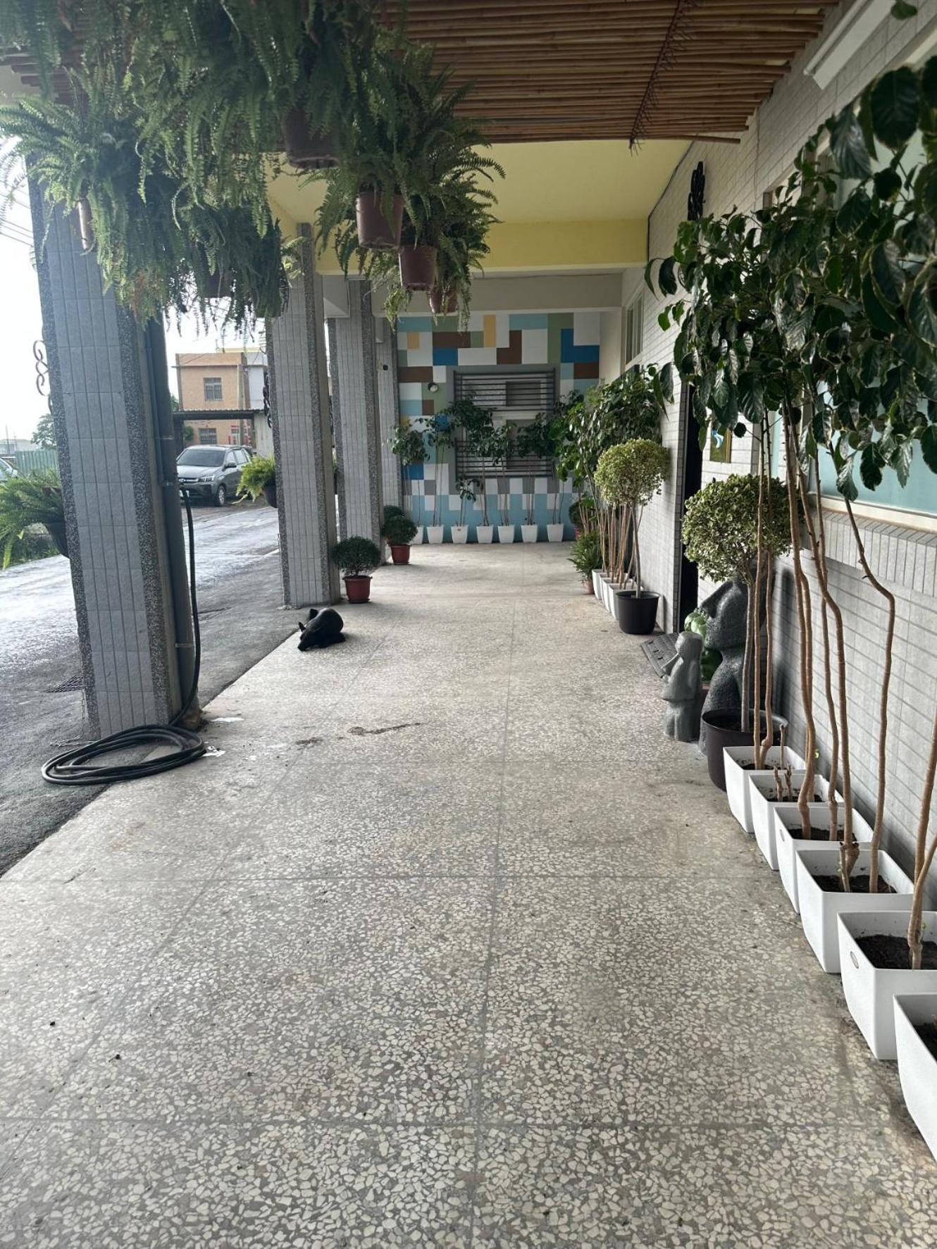 Photo 41