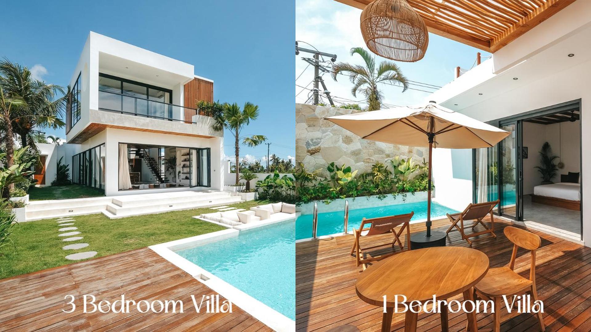 Botanique Villa & Studio view 2