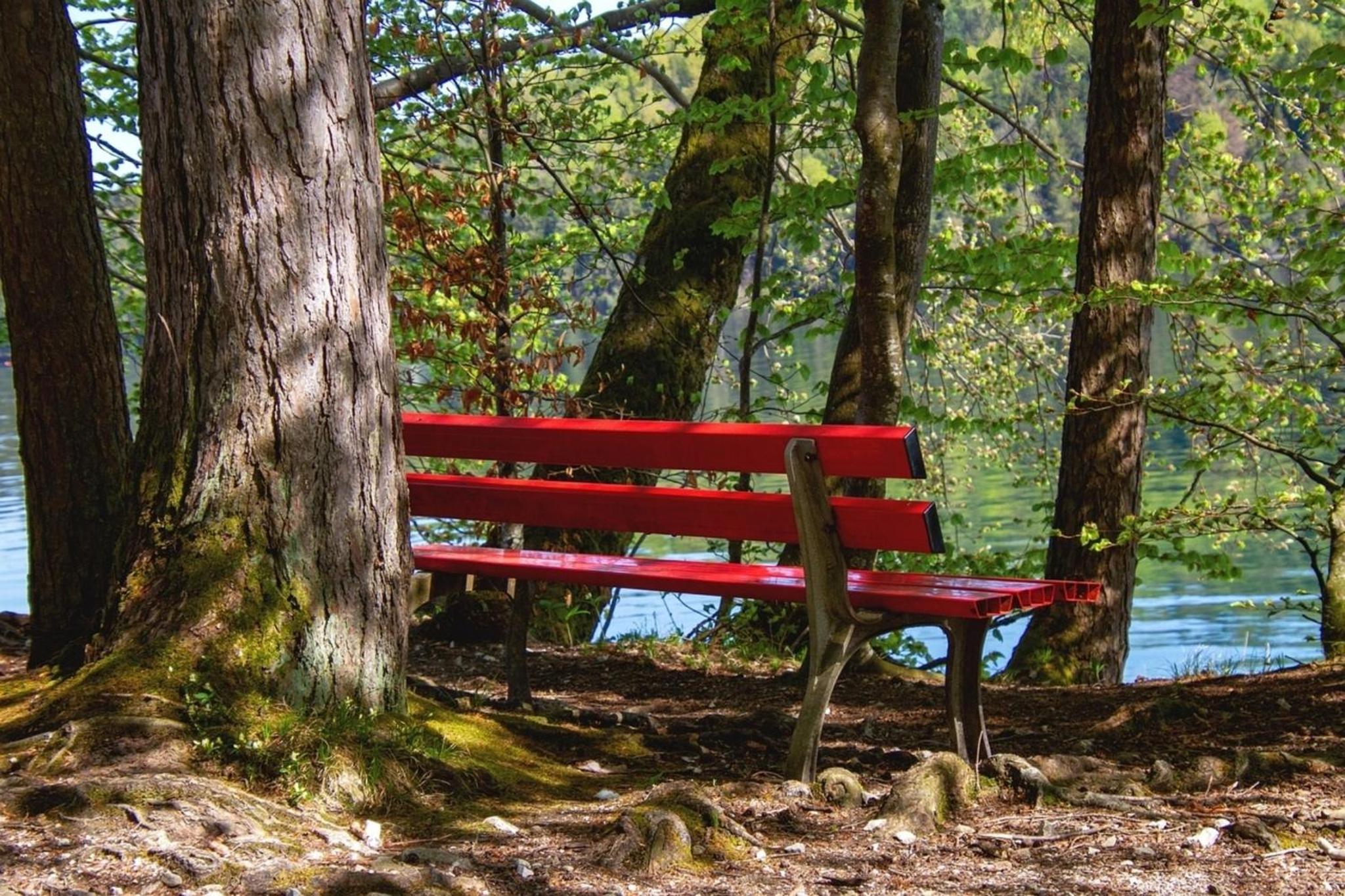 Söhredomizil Kaufunger Wald - Terrasse - Grill - WLAN - Hund - Spielplatz