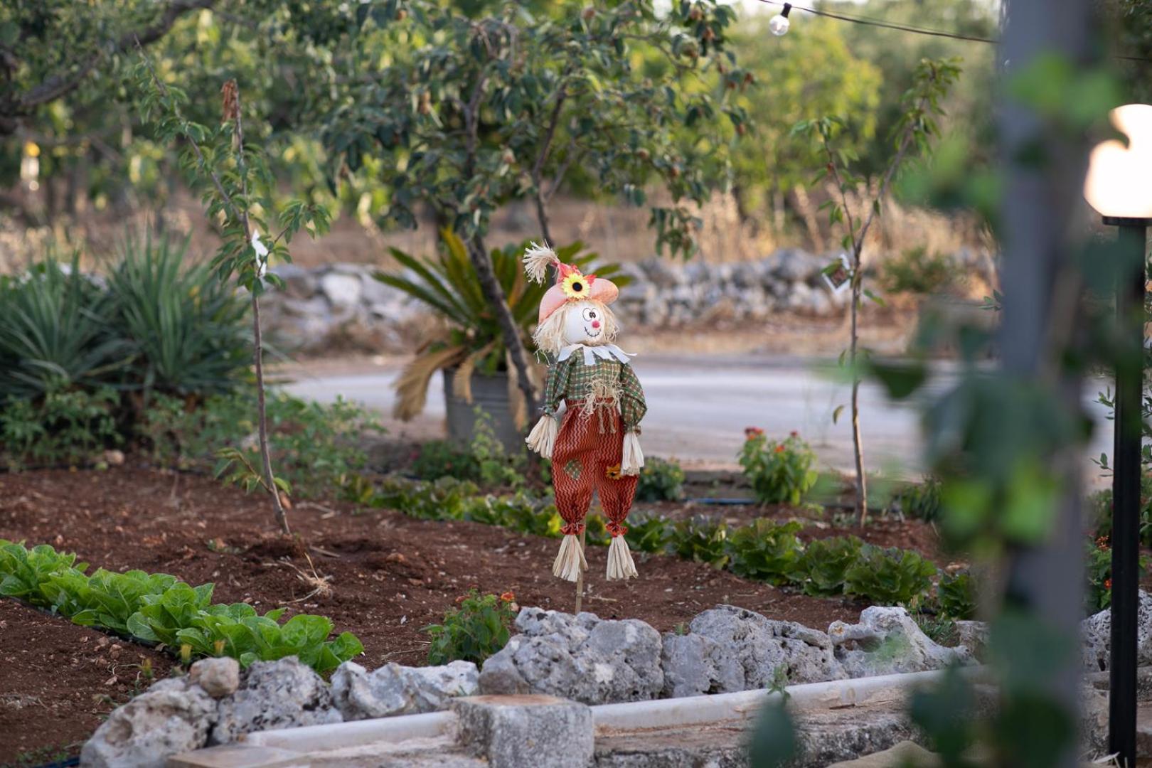 Trulli Arborea