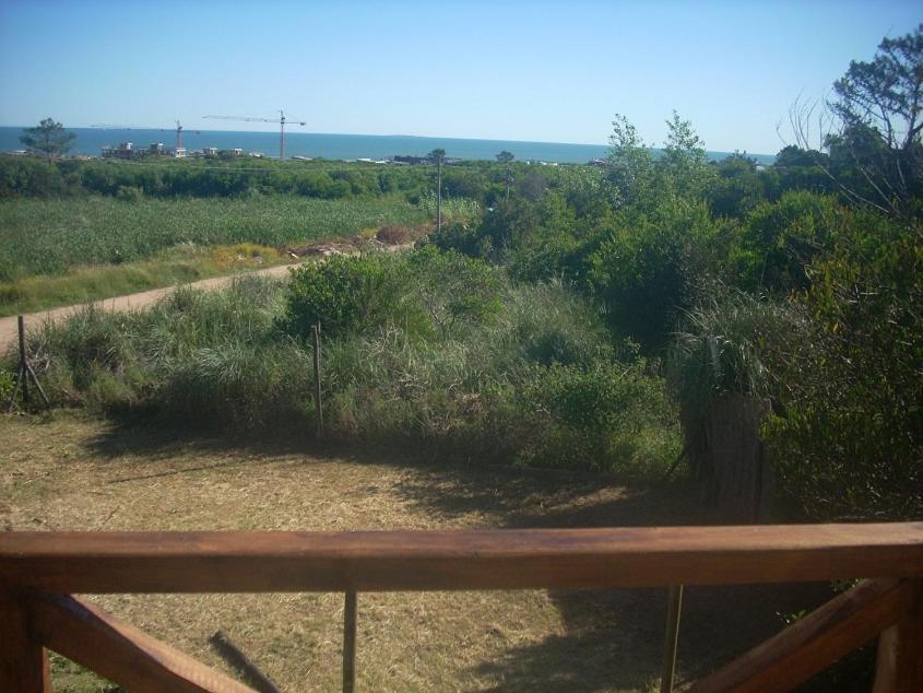 Proa Amarilla en Punta del Este