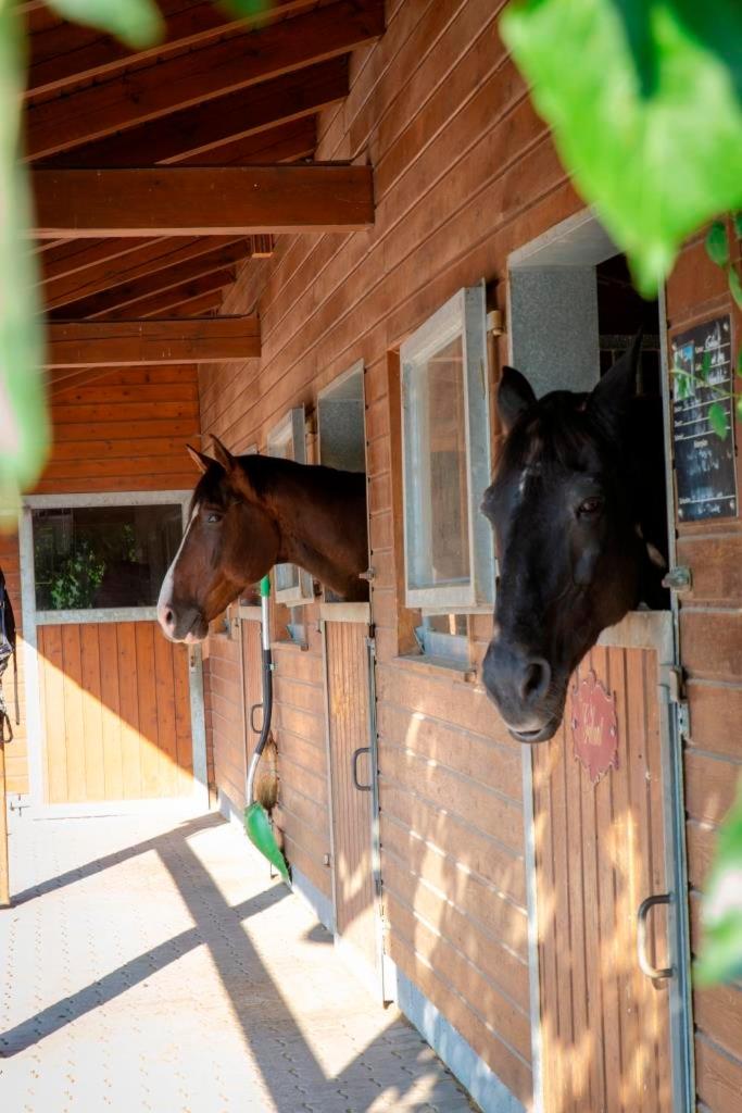 AP-RANCH Ferienzimmer Sternenblick