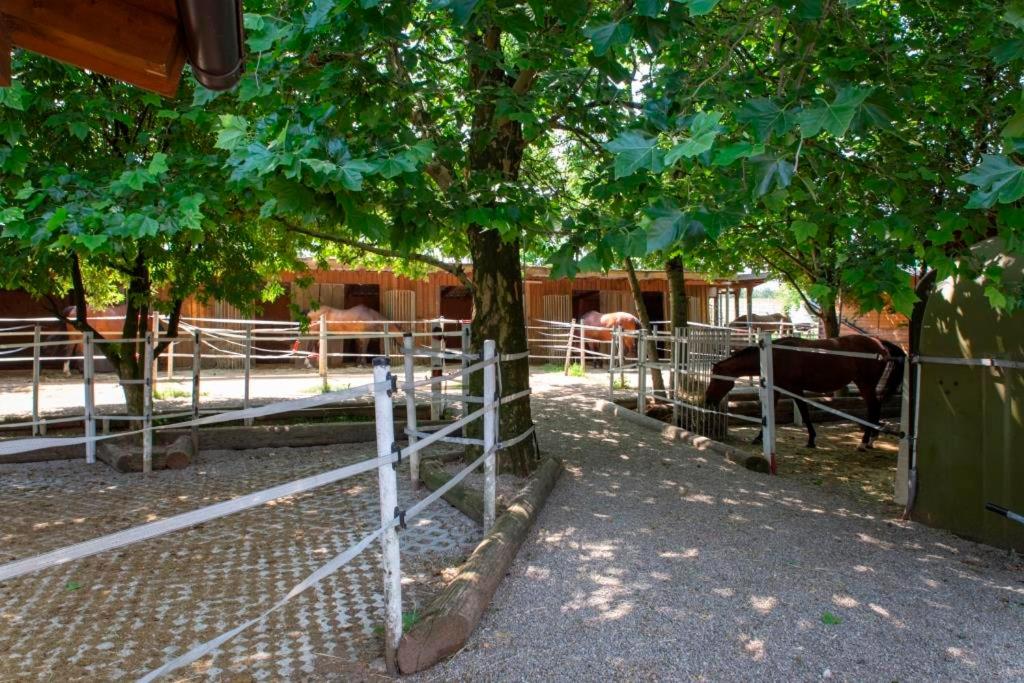 AP-RANCH Ferienzimmer Sternenblick